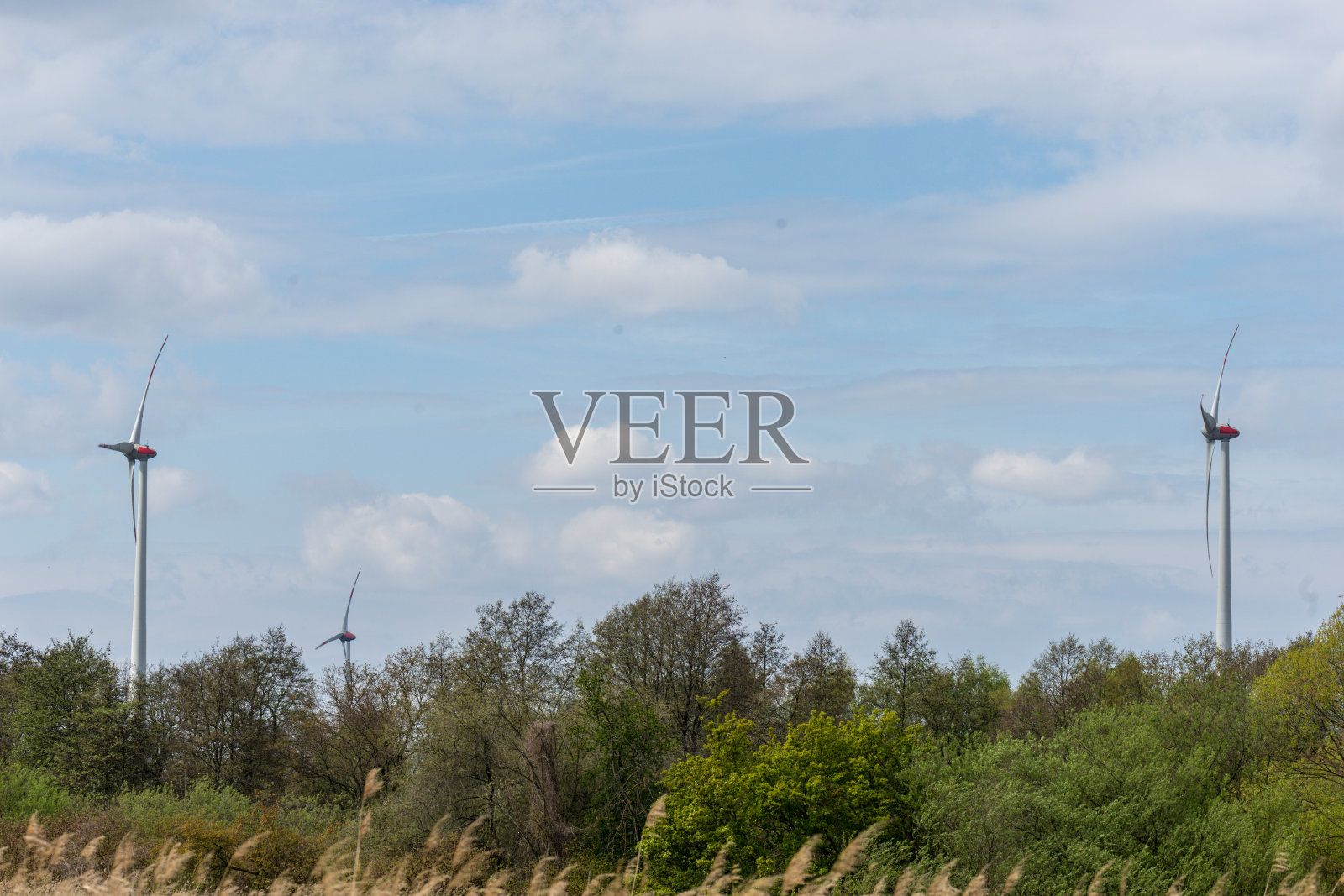 森林里的风力涡轮机照片摄影图片