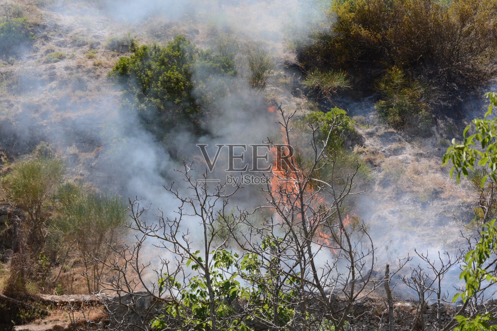 夏天,南意大利照片摄影图片