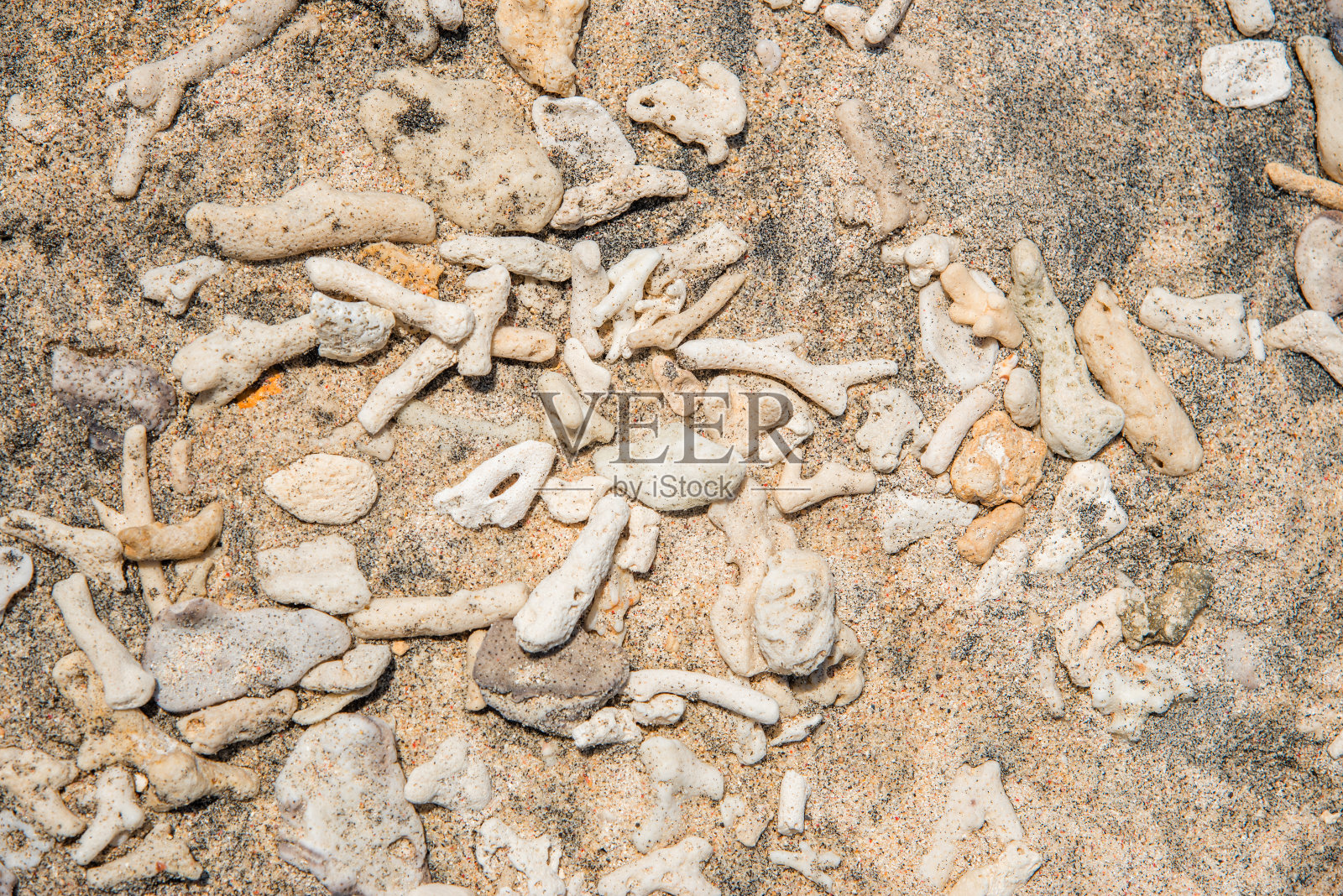 Gili Trawangan海滩上有许多死珊瑚。Lombok,印度尼西亚。照片摄影图片