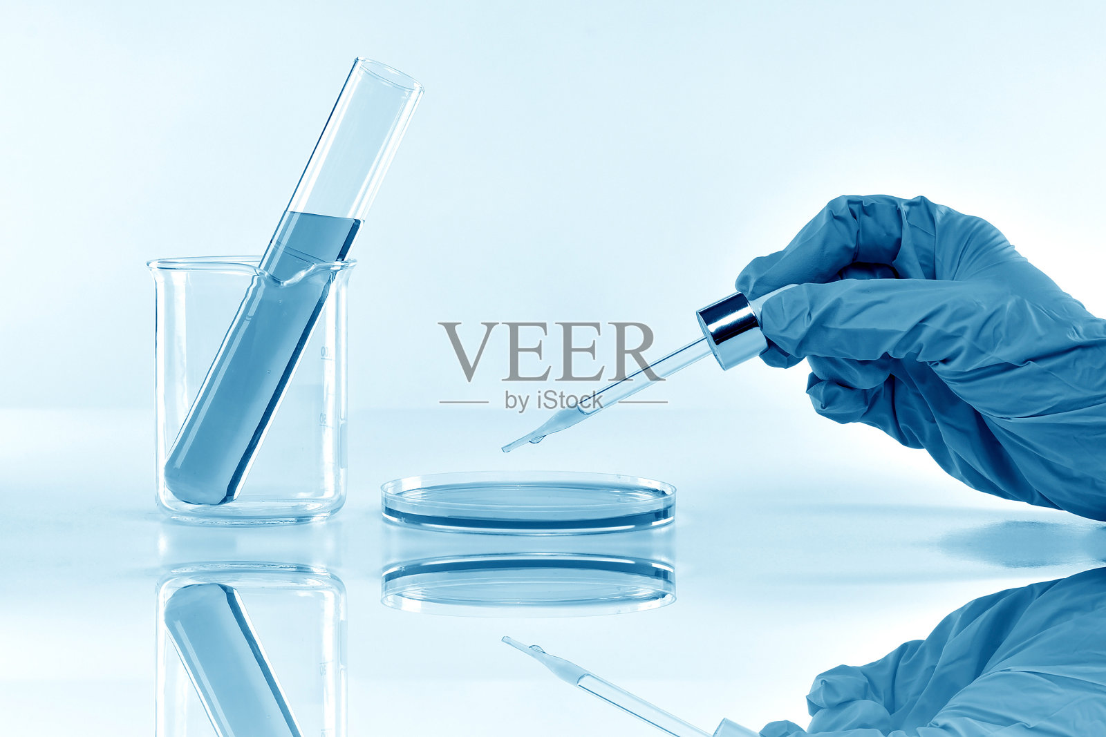 在科学实验室做研发工作的科学家，混合化学成分的科学家。照片摄影图片