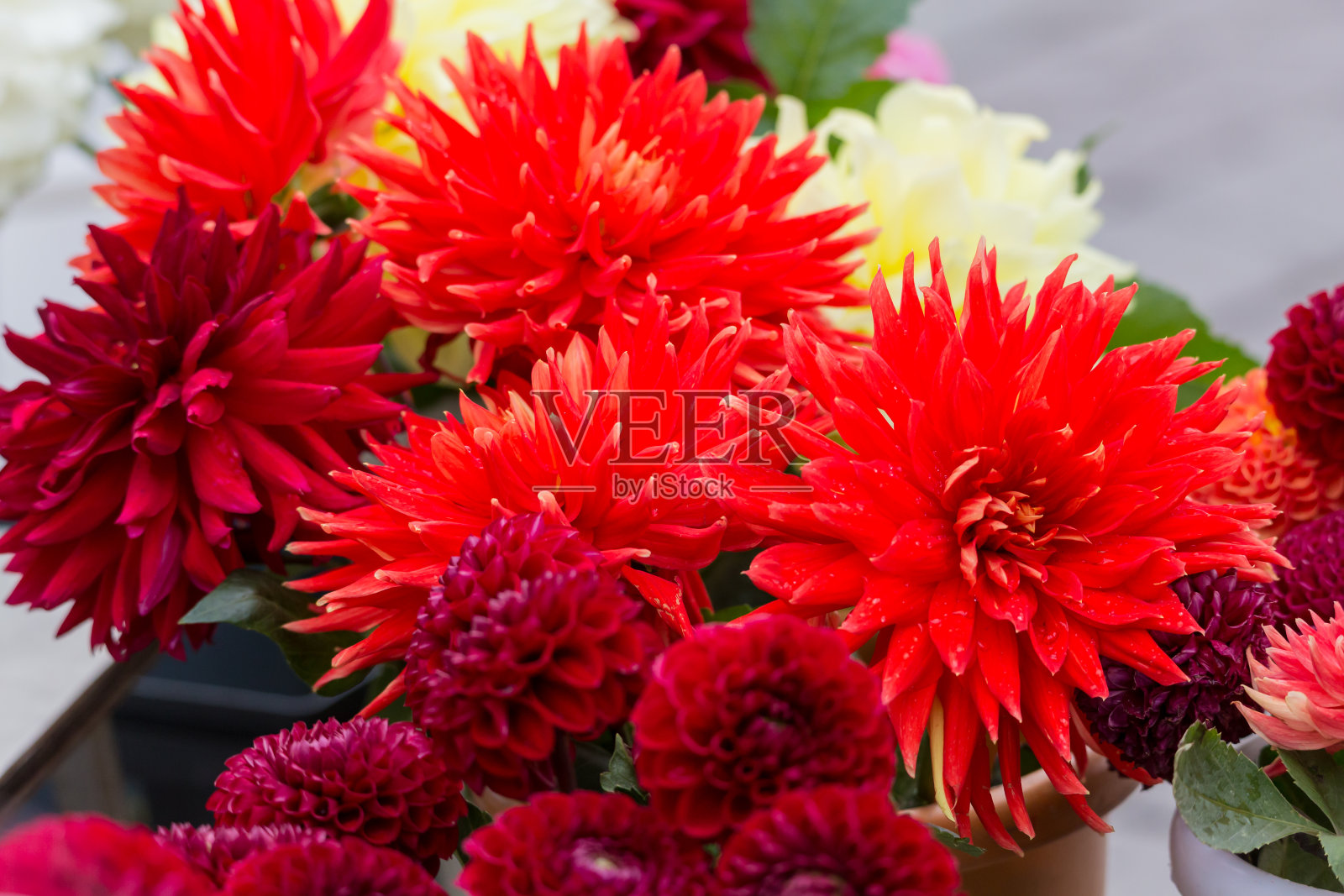 街头市场上的红色大丽花花束。卖鲜花照片摄影图片