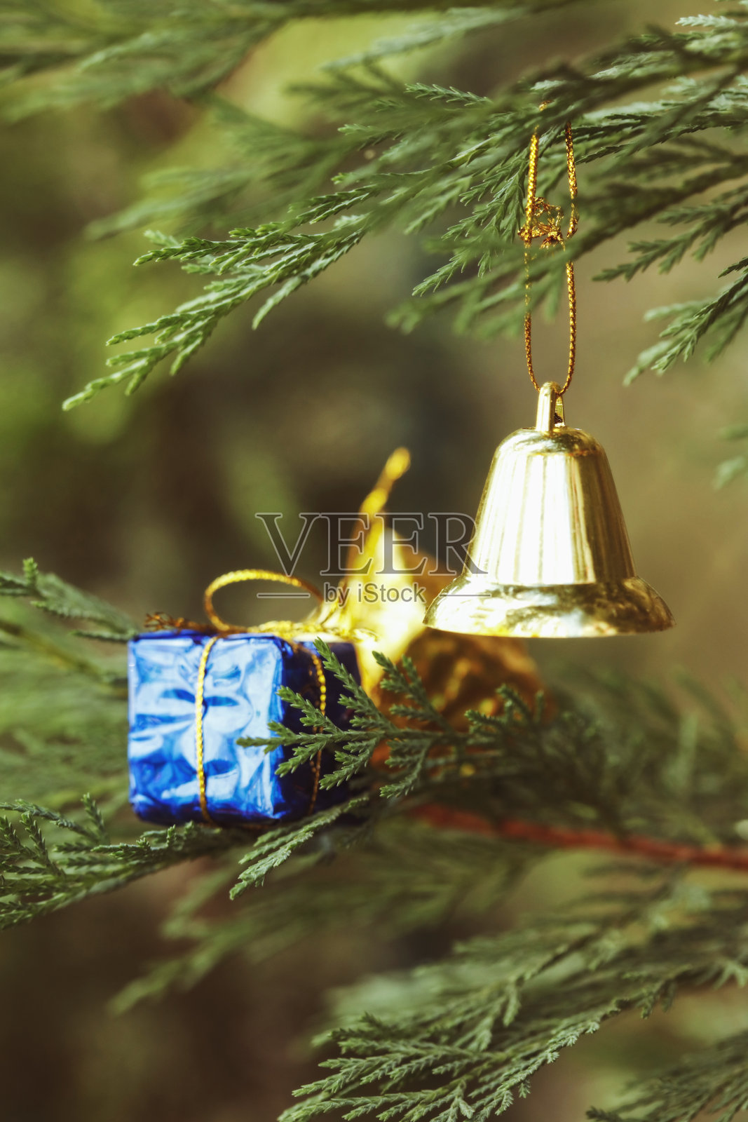 松树上的圣诞装饰照片摄影图片