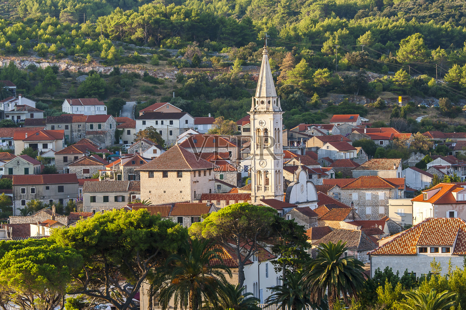 克罗地亚赫瓦尔的Nice Jelsa照片摄影图片