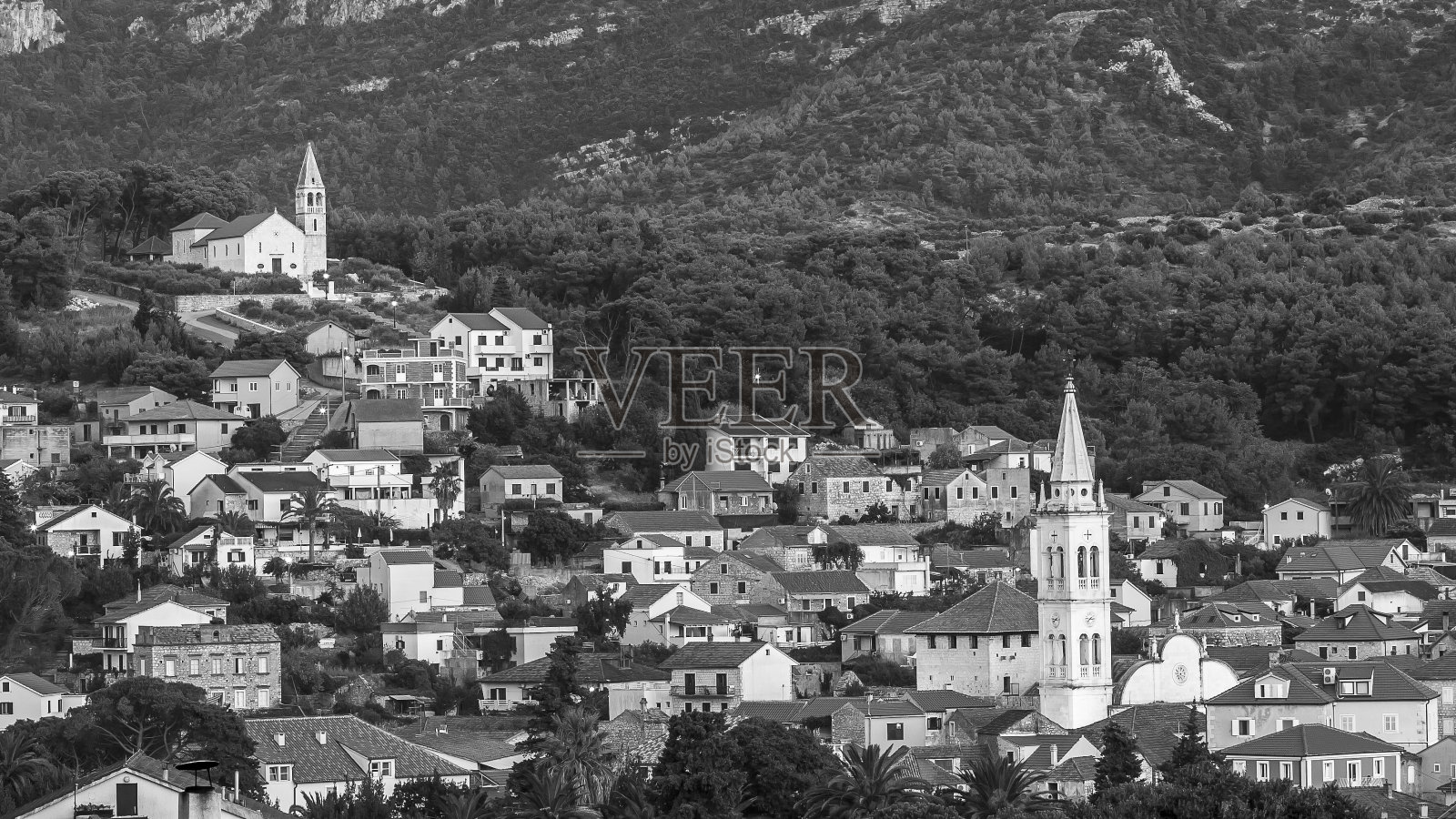 克罗地亚赫瓦尔的Nice Jelsa照片摄影图片