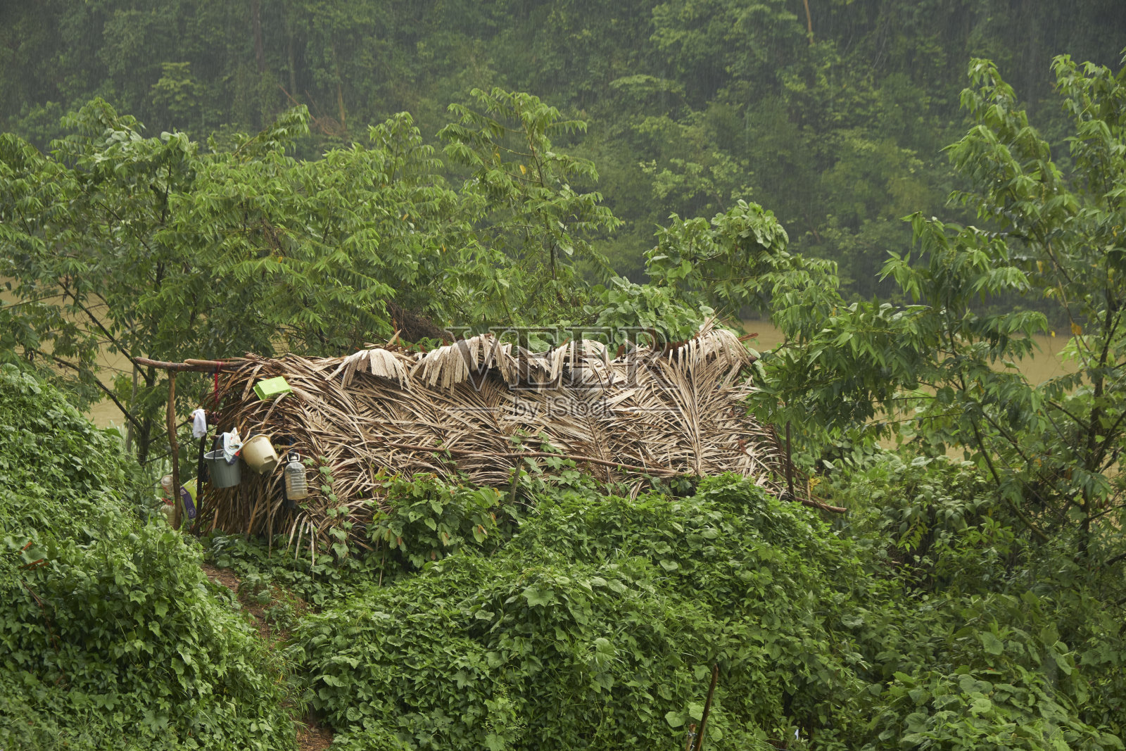 巴特克部落的家族照片摄影图片