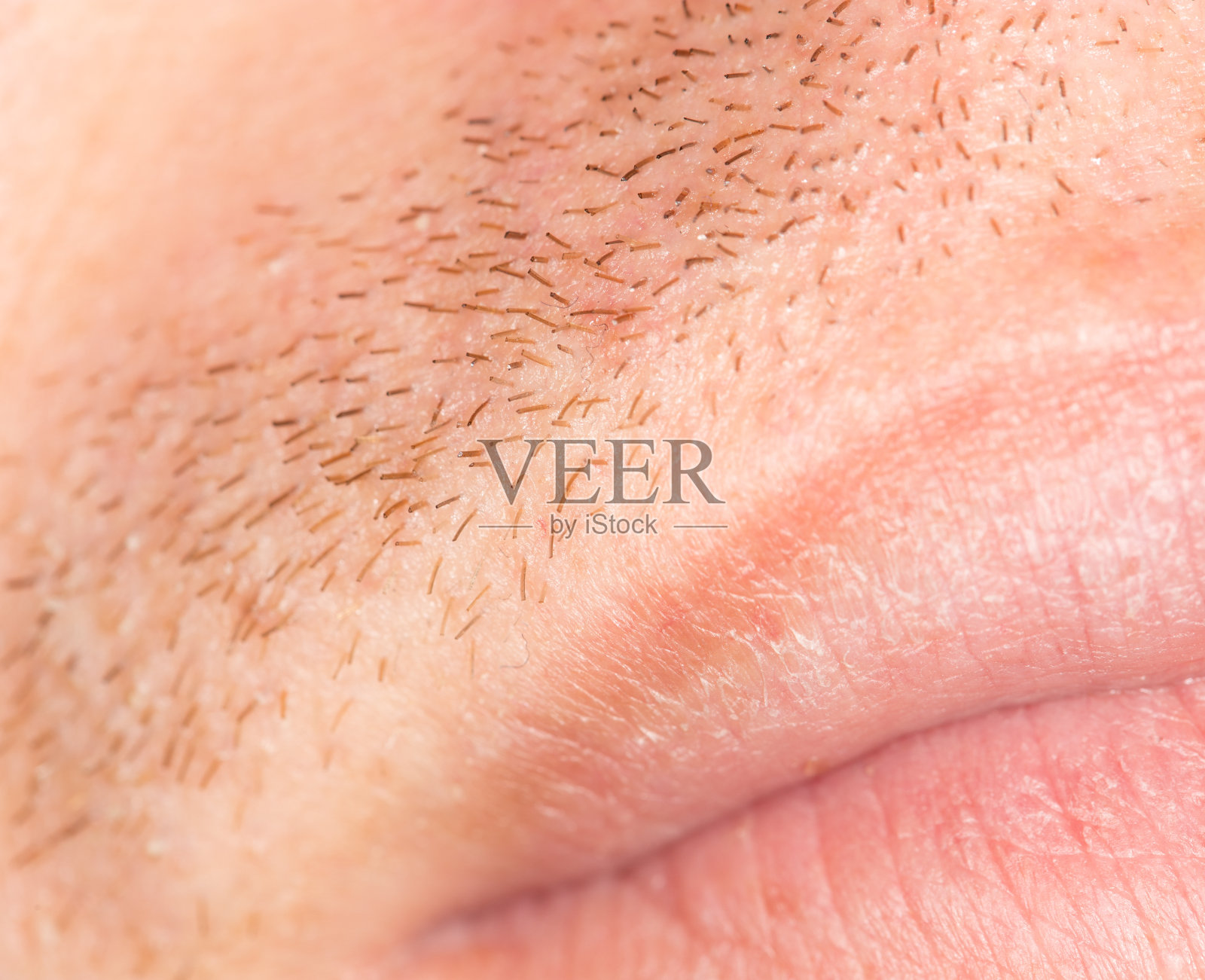 皮肤上的鬃毛。特写镜头照片摄影图片