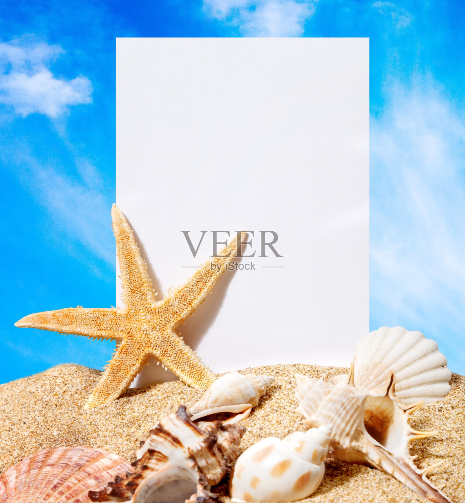 海滩。照片摄影图片