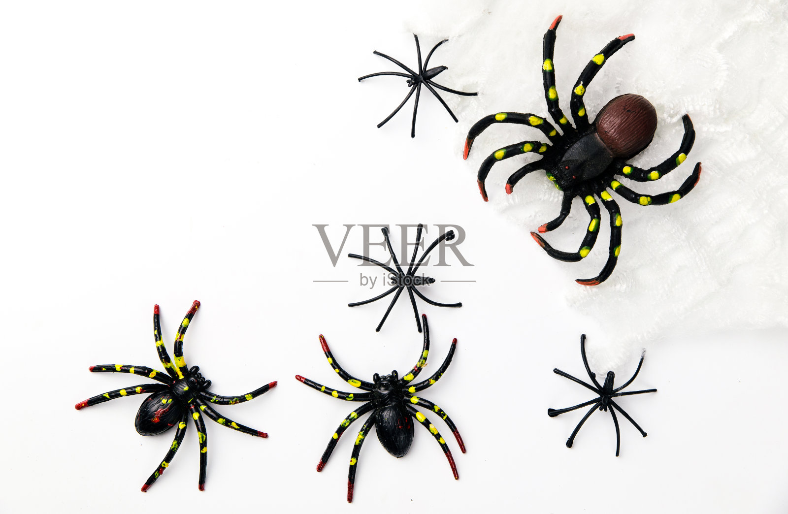 万圣节节日概念组的蜘蛛行走在蜘蛛网上的白色背景。准备好产品展示蒙太奇。照片摄影图片