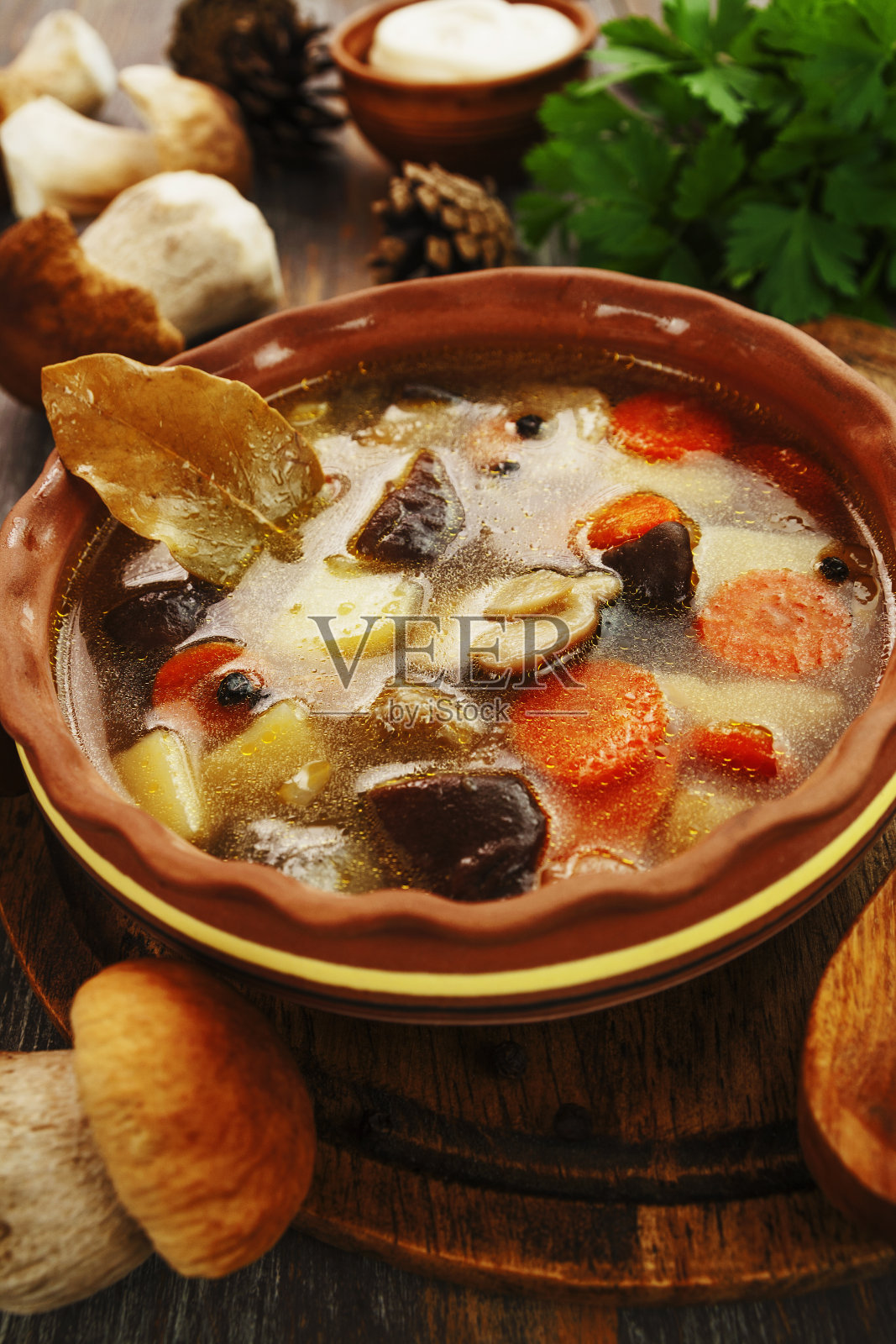 自制的蘑菇汤照片摄影图片