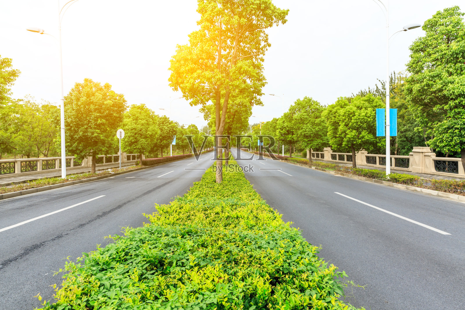 乡间的柏油路穿过绿色的森林照片摄影图片