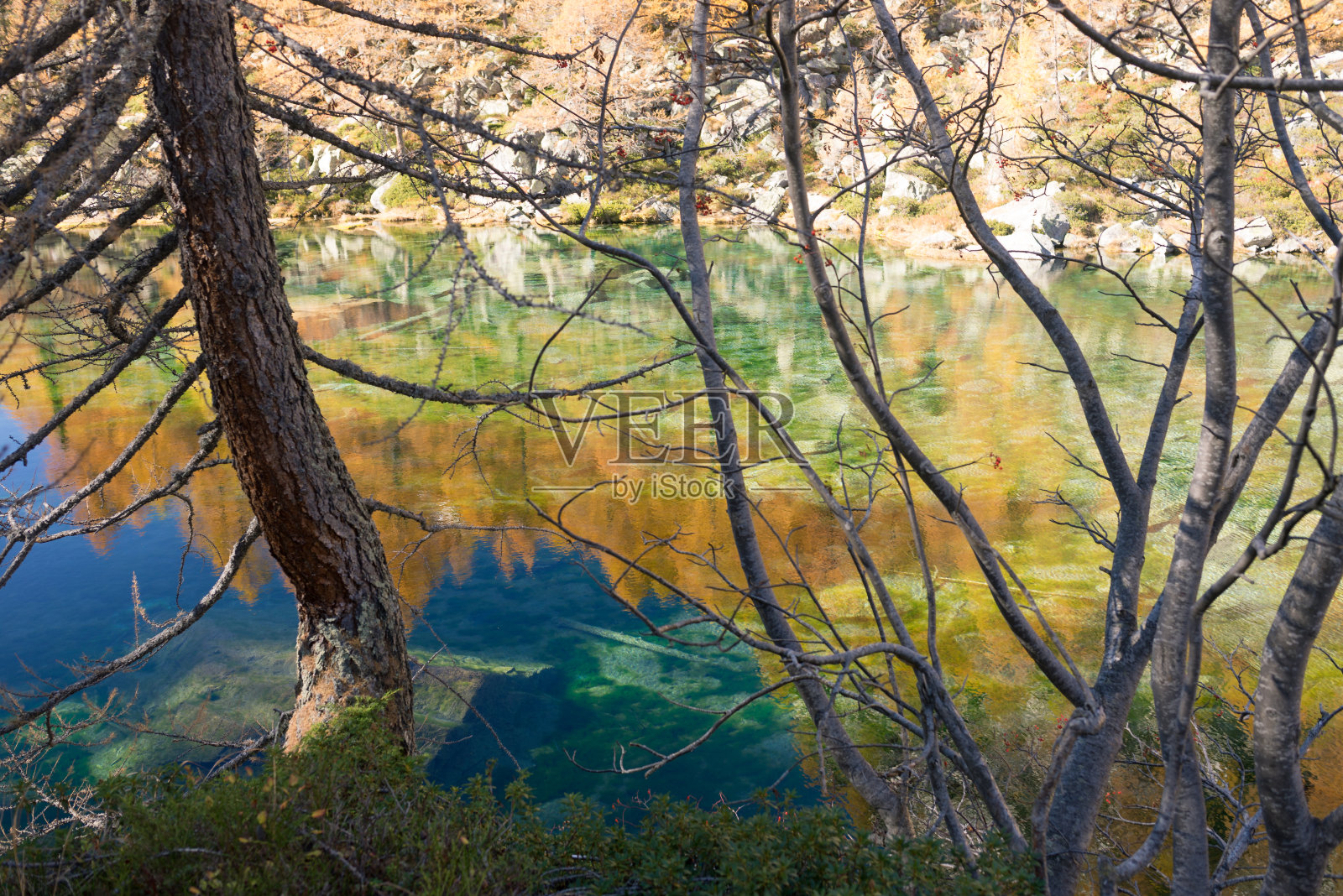 山上湖泊中五彩缤纷的落叶松倒影在阳光明媚的秋日户外照片摄影图片