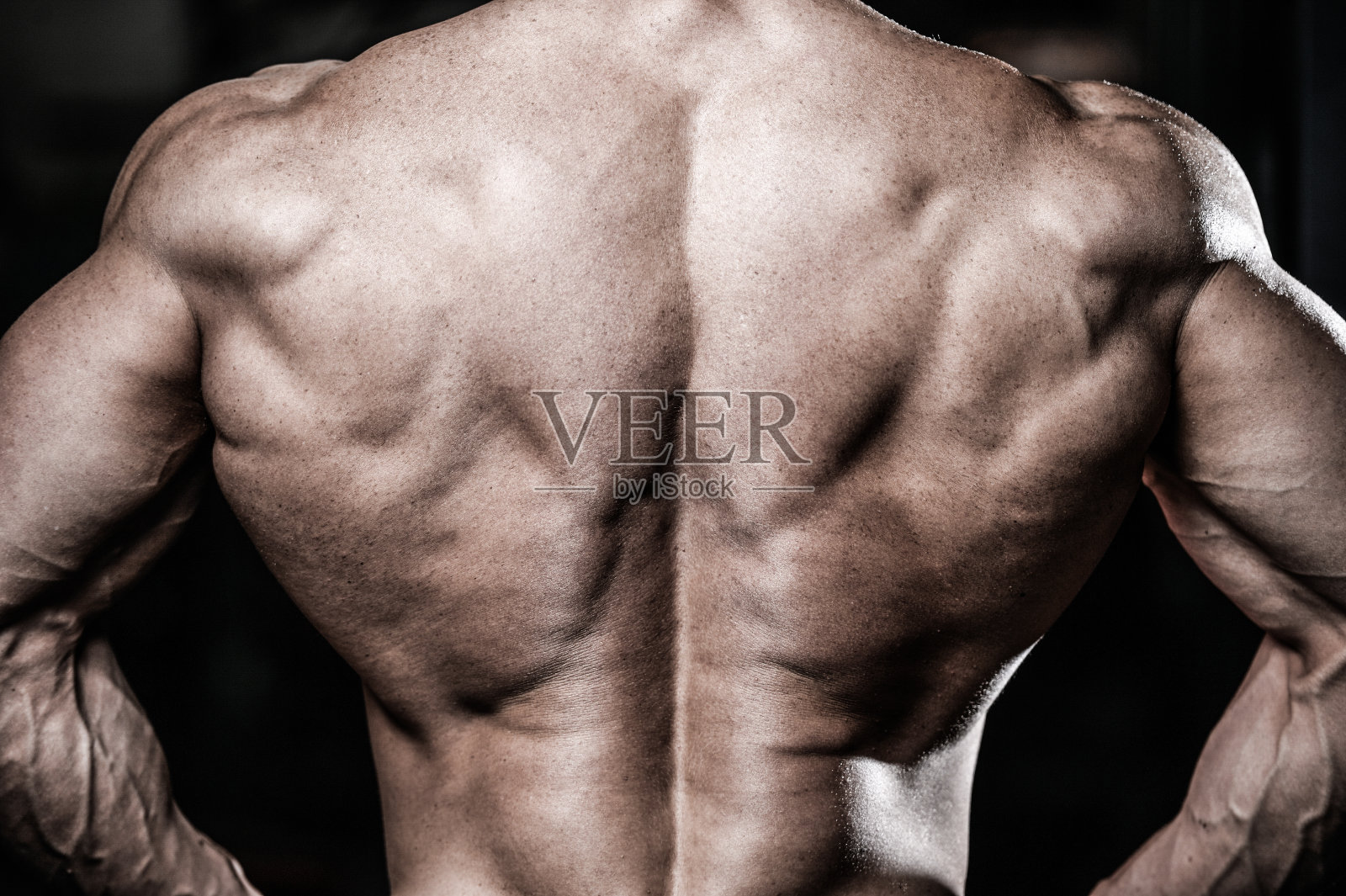 英俊的力量运动员饮食训练抽回肌肉照片摄影图片