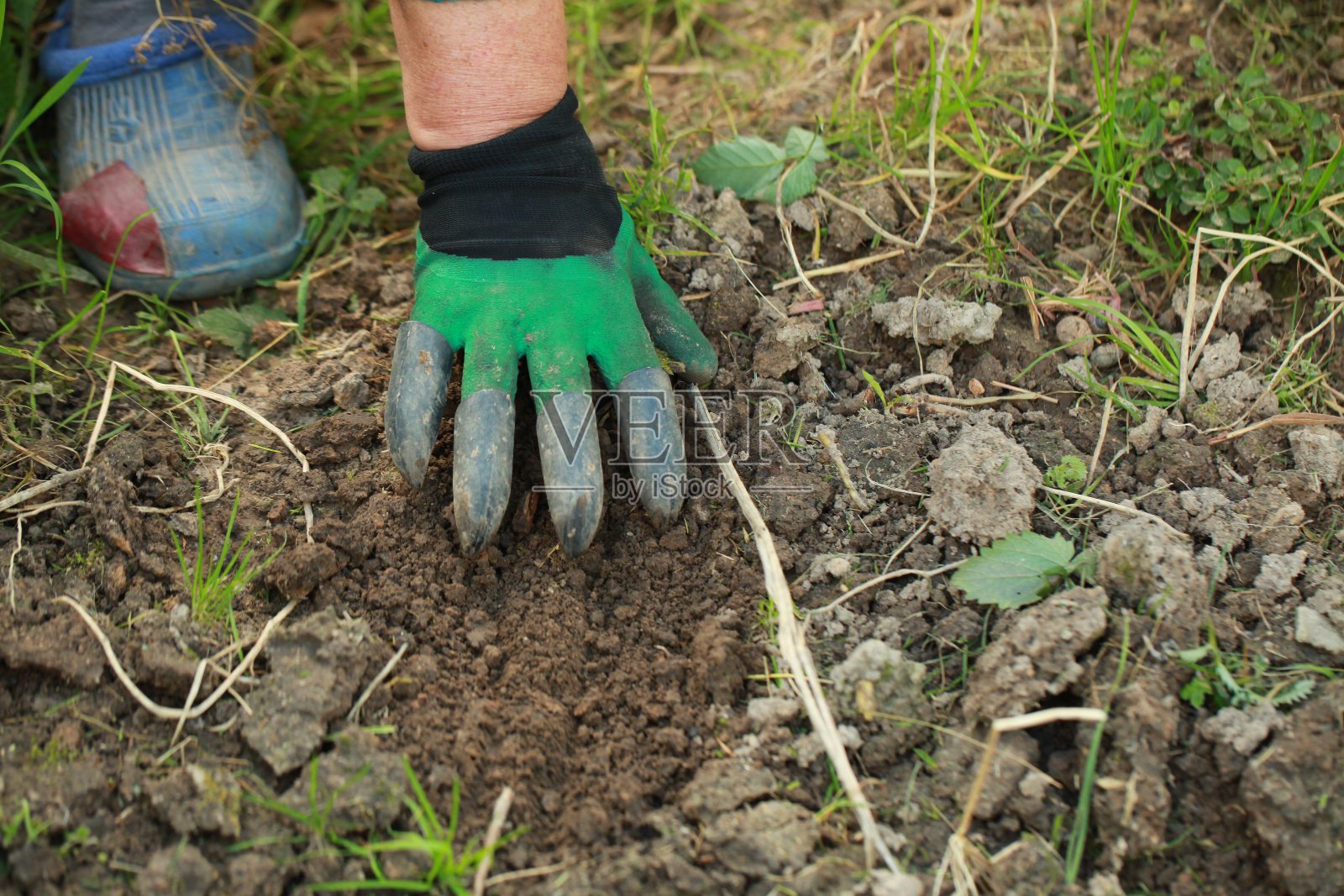 带爪子的除草手套照片摄影图片