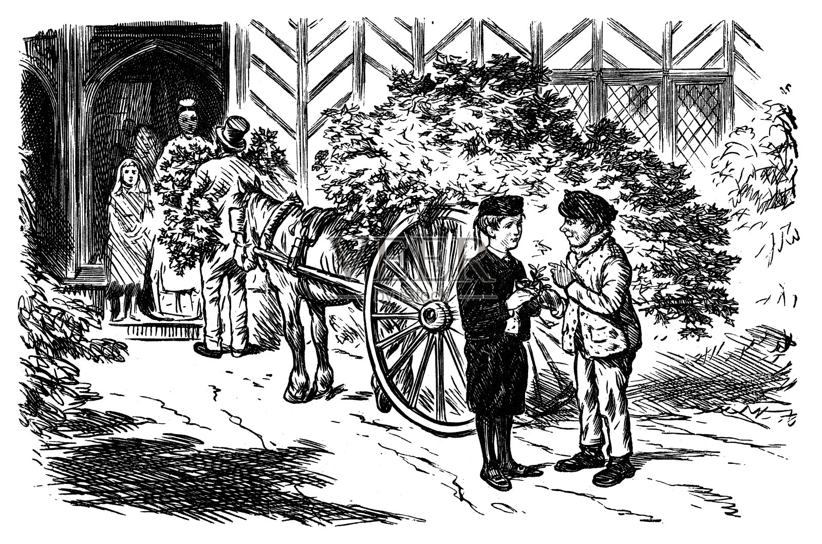 出售槲寄生插画图片素材