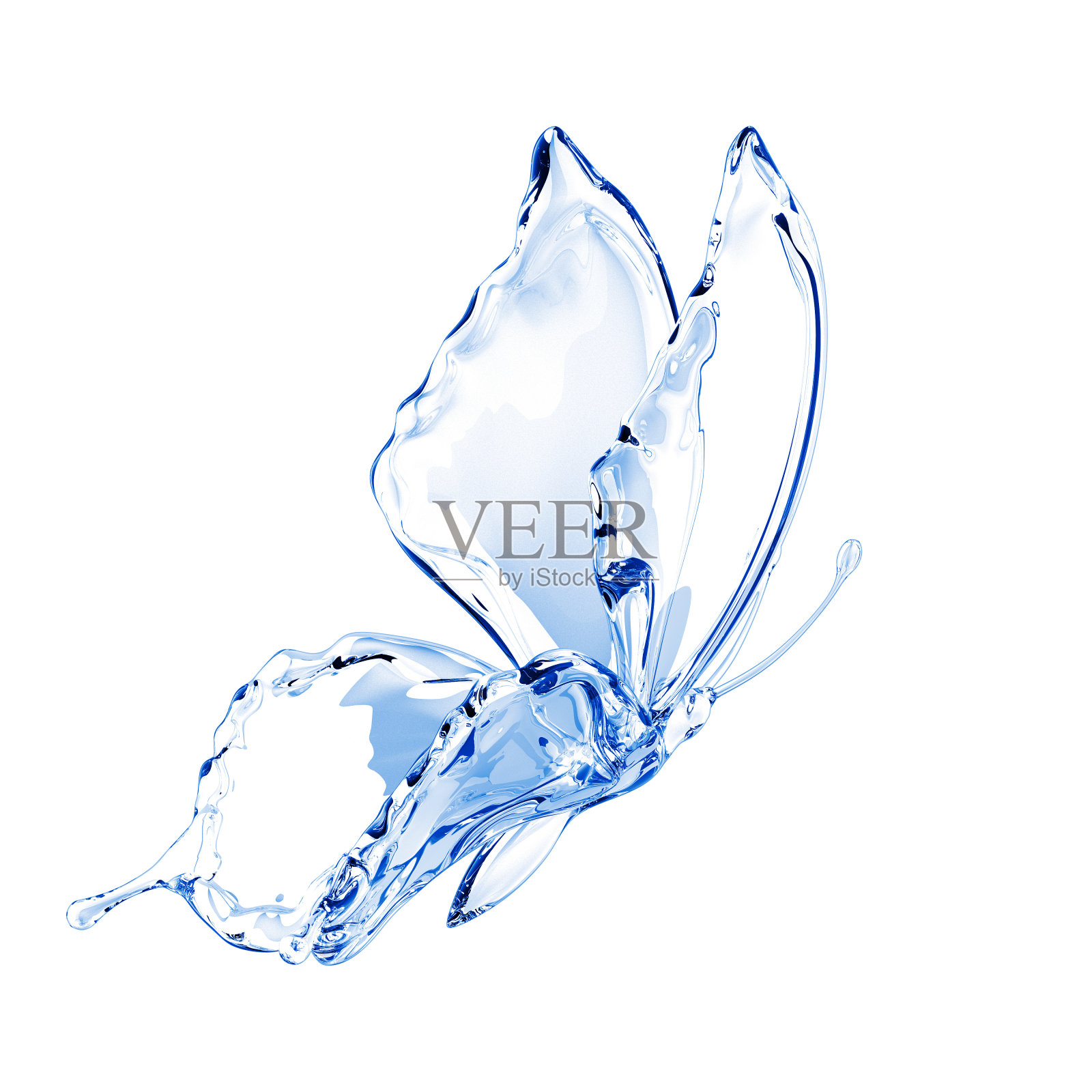 水蝴蝶照片摄影图片