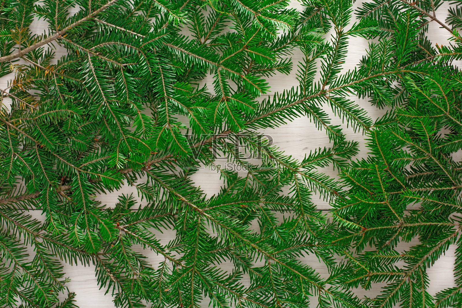 圣诞树的树枝背景照片摄影图片