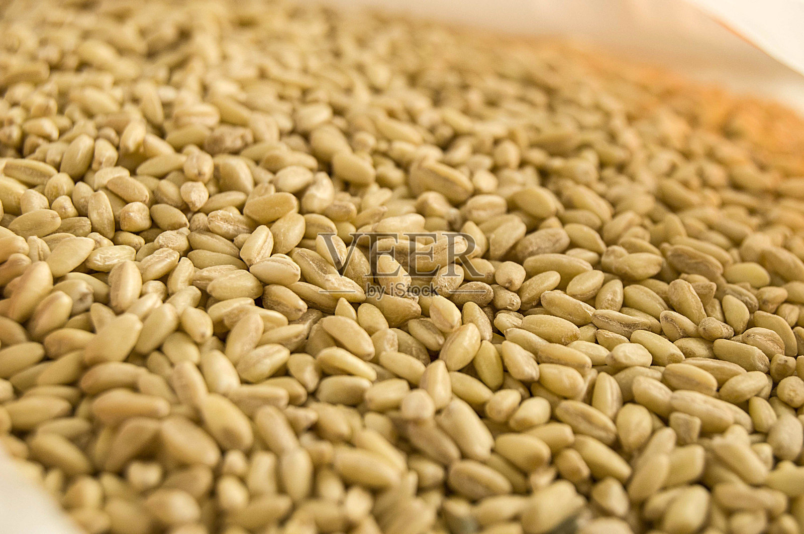 去皮的麦粒，在土耳其用来做汤的麦粒照片摄影图片