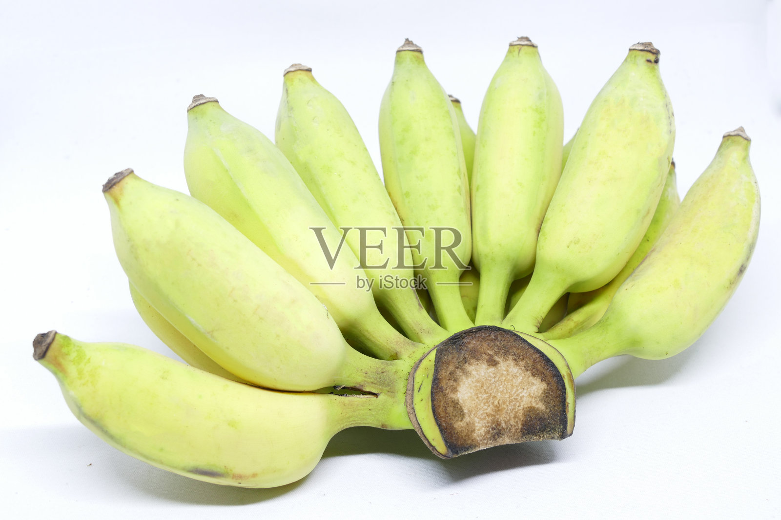 种植香蕉照片摄影图片