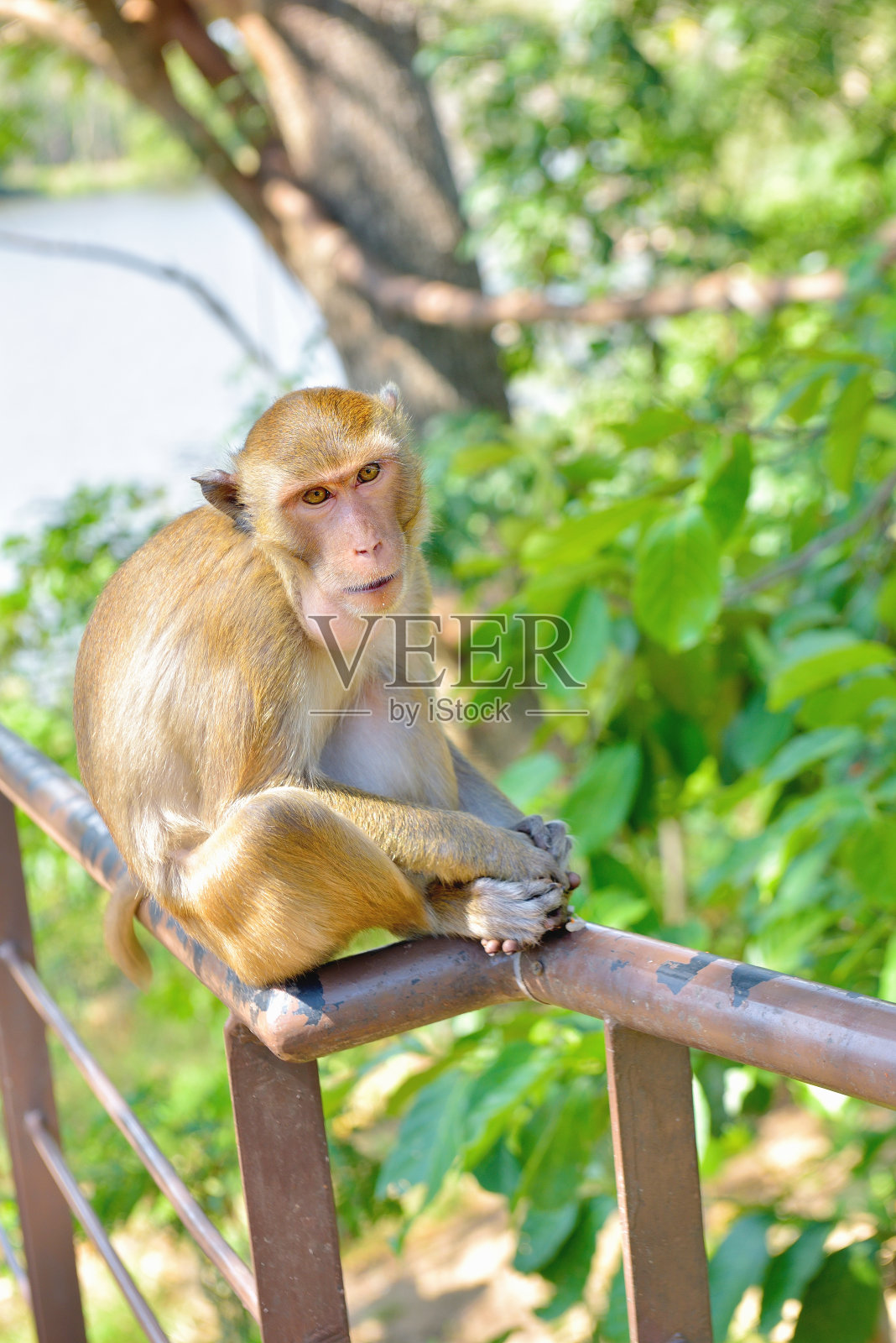 视频软件名照片摄影图片