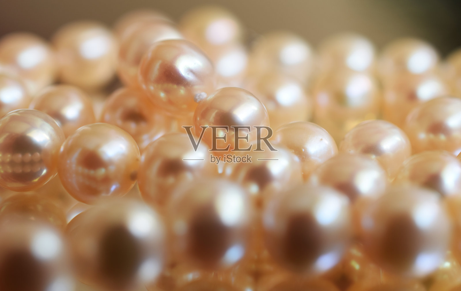 珍珠照片摄影图片