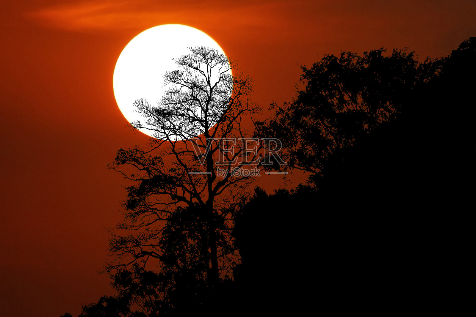 万圣节的背景与剪影的树木在山上阴森森的日落天空的气氛。照片摄影图片