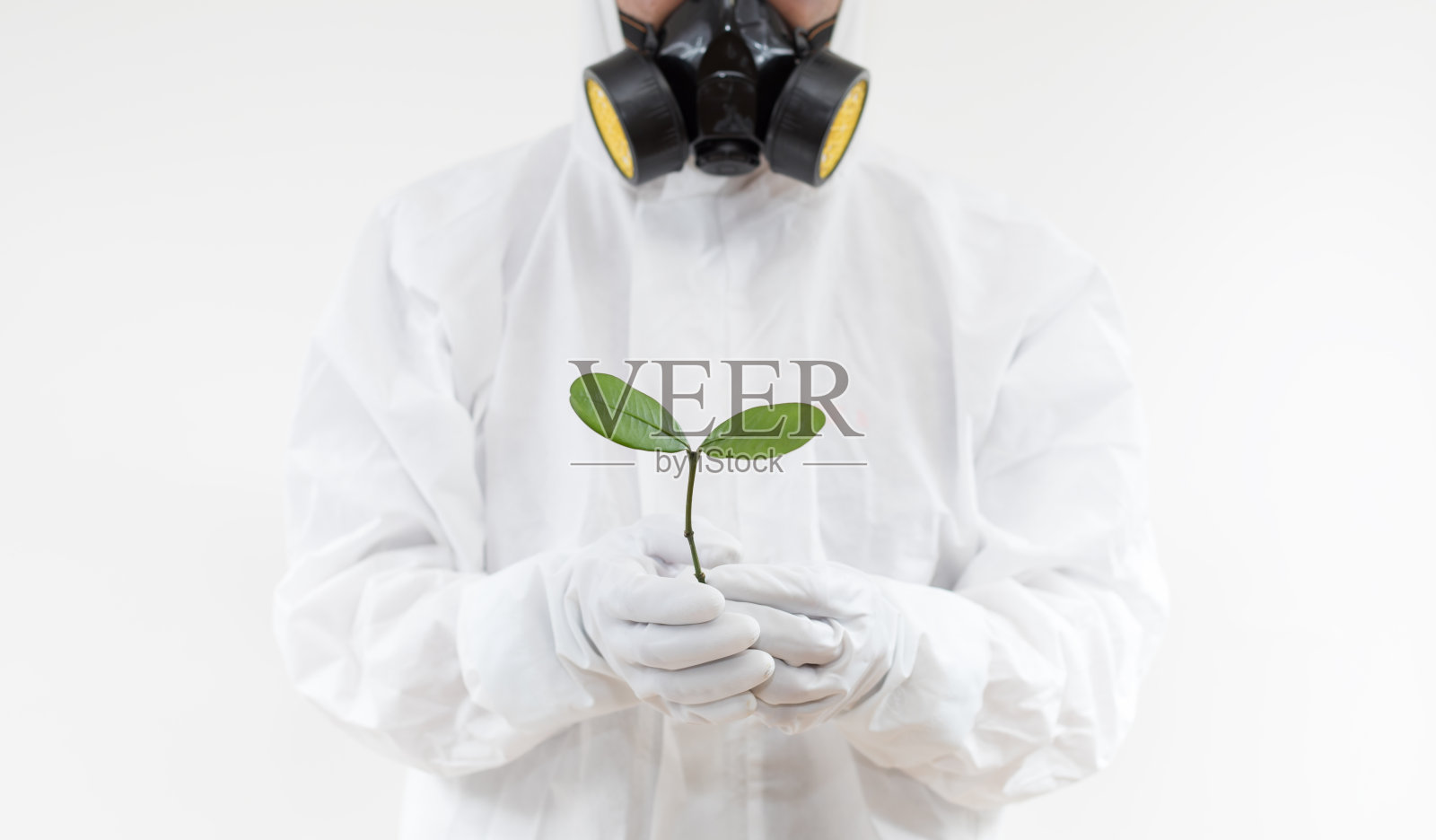 穿着防护服的男人和树芽照片摄影图片