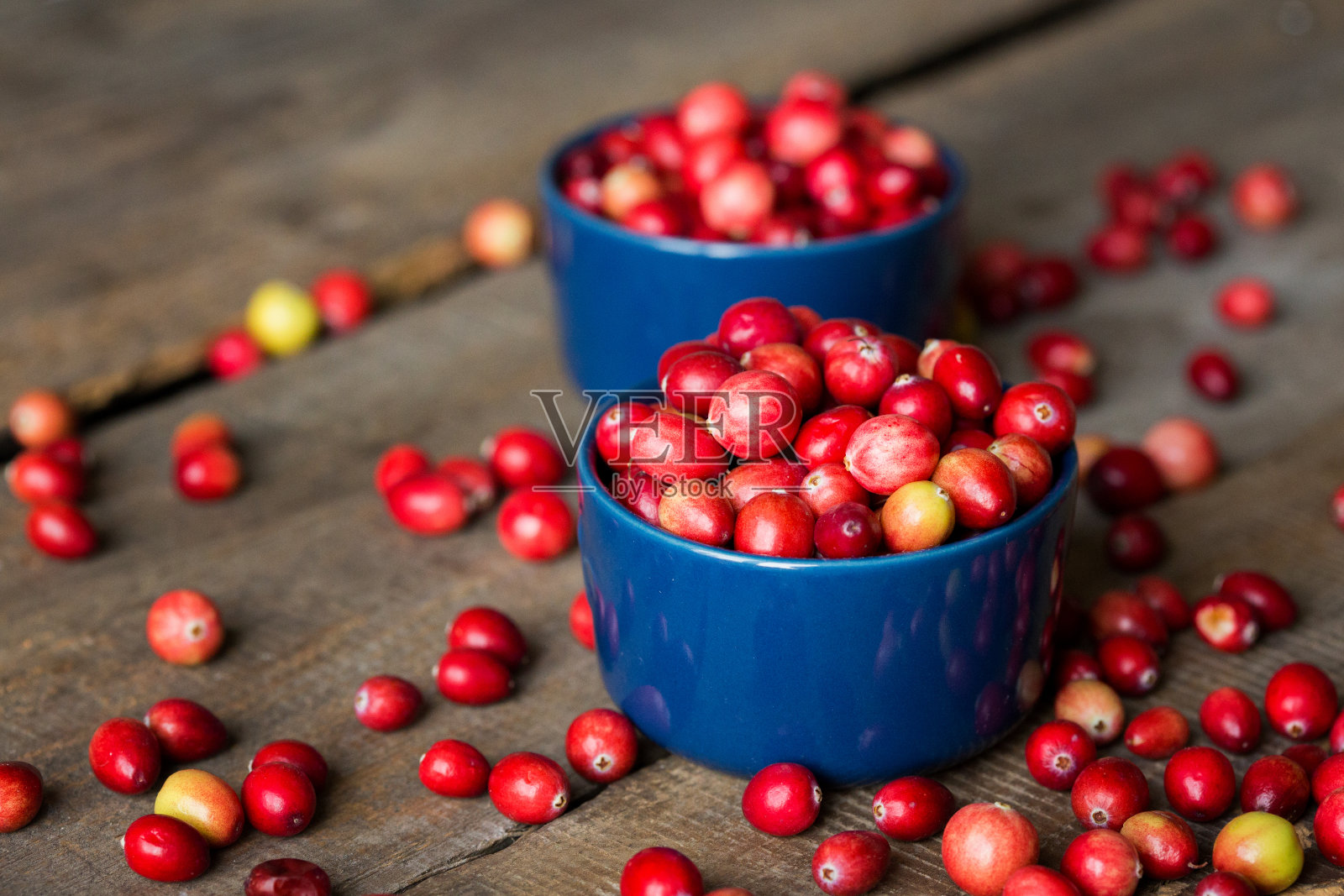 小红莓照片摄影图片