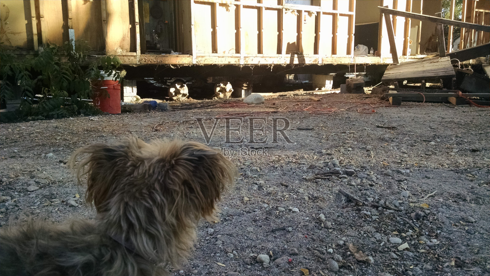 破碎的家庭照片摄影图片