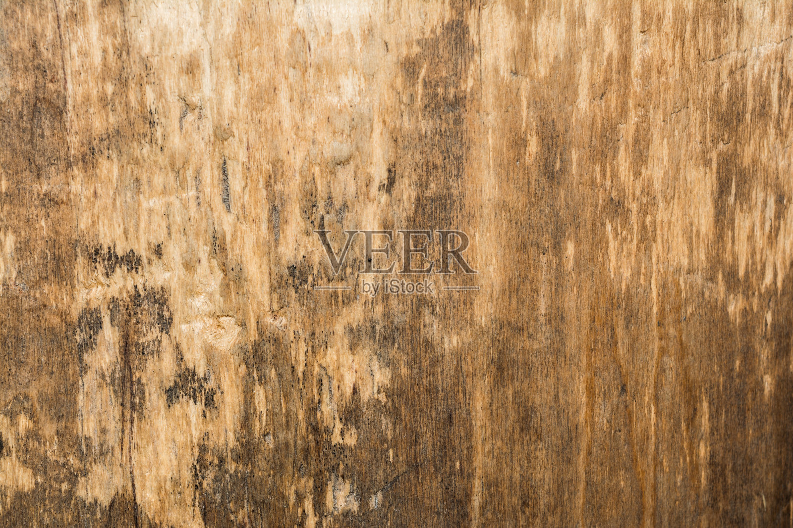 橡木的木材质地很老，木材粗糙不均匀照片摄影图片