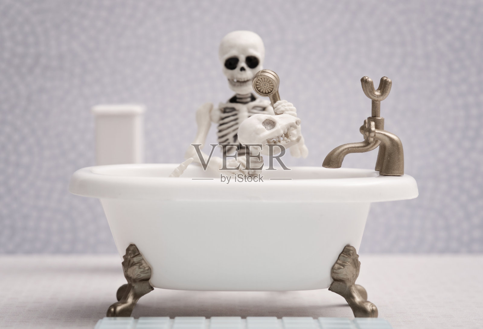 骷髅宠物泡泡浴照片摄影图片