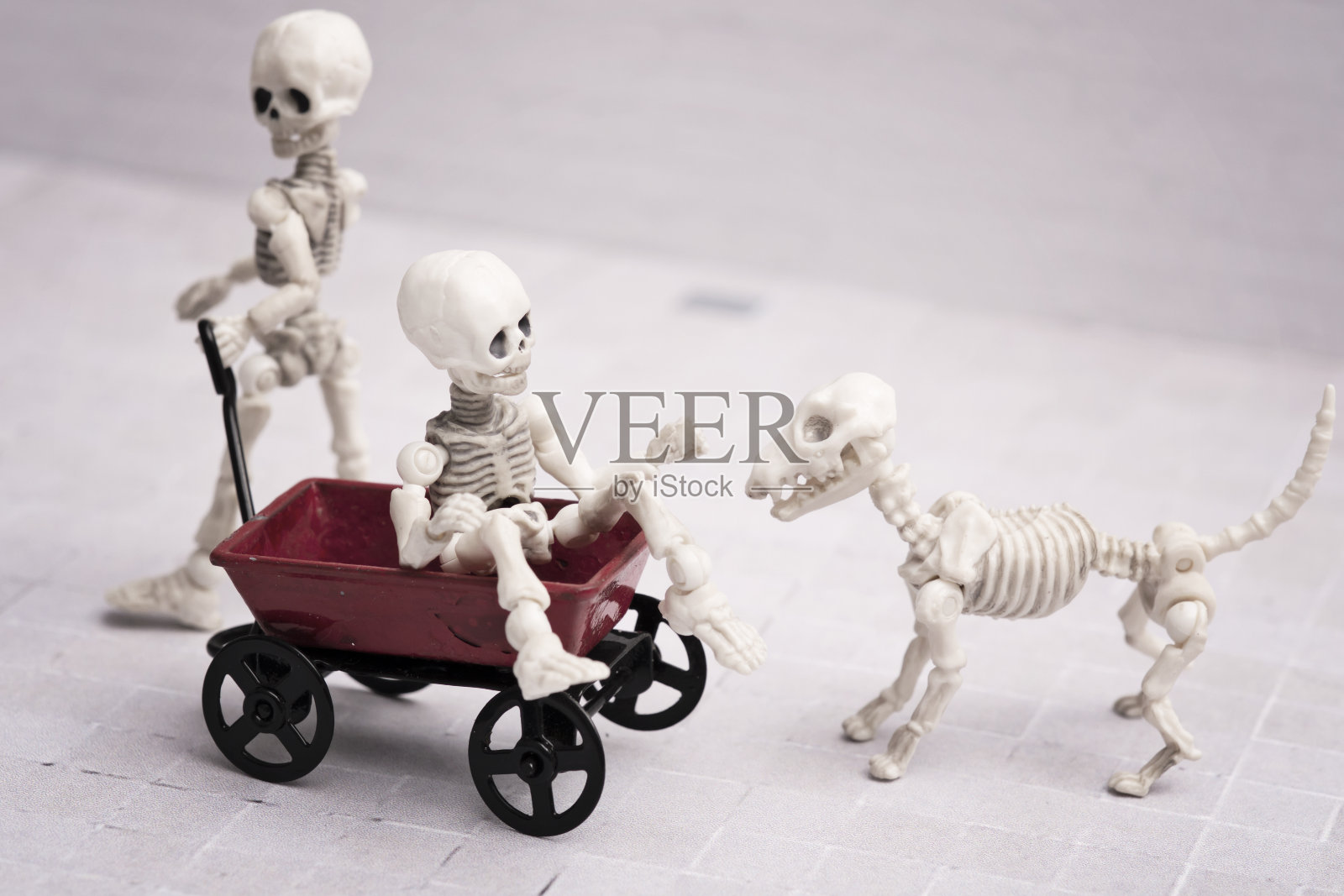 骷髅小孩和狗玩耍的时间照片摄影图片