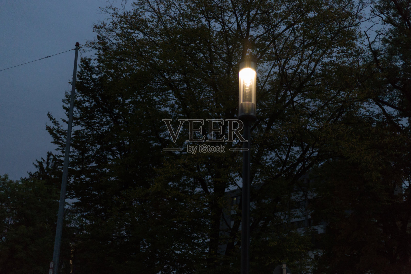 城市公园晚上与灯和林荫大道在德国南部在十月的秋天季节照片摄影图片