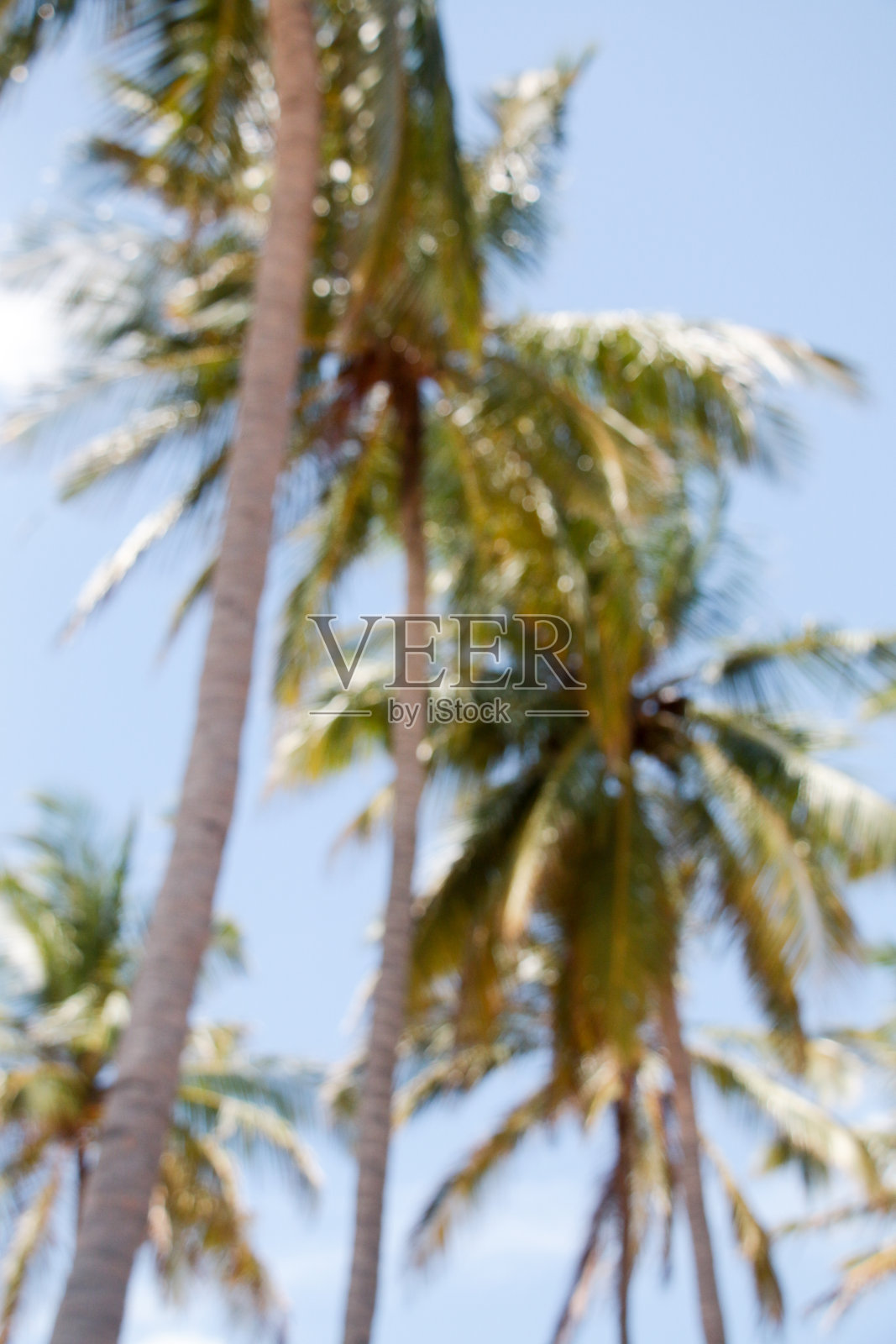 斯里兰卡照片摄影图片