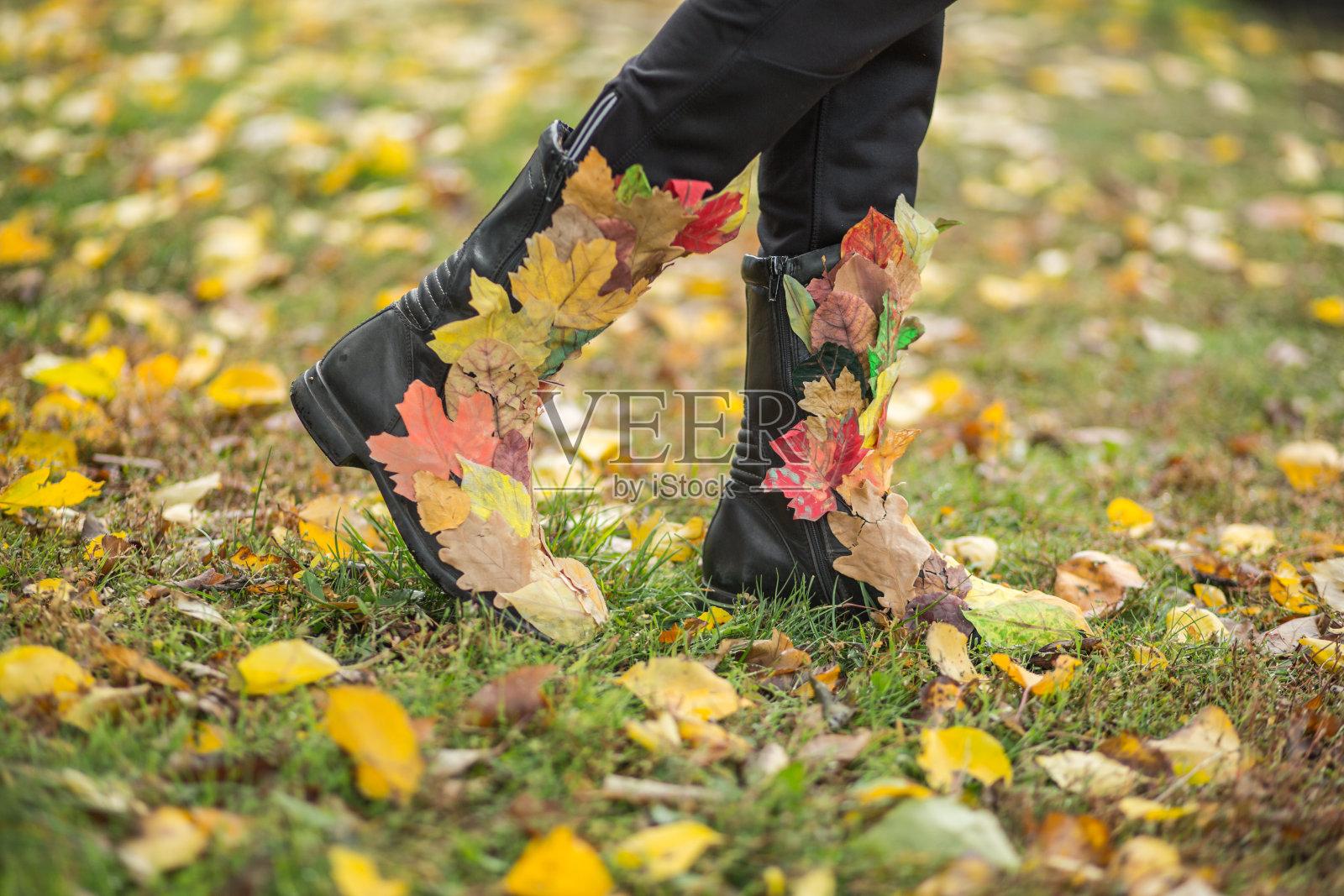 秋天的腿的概念照片摄影图片