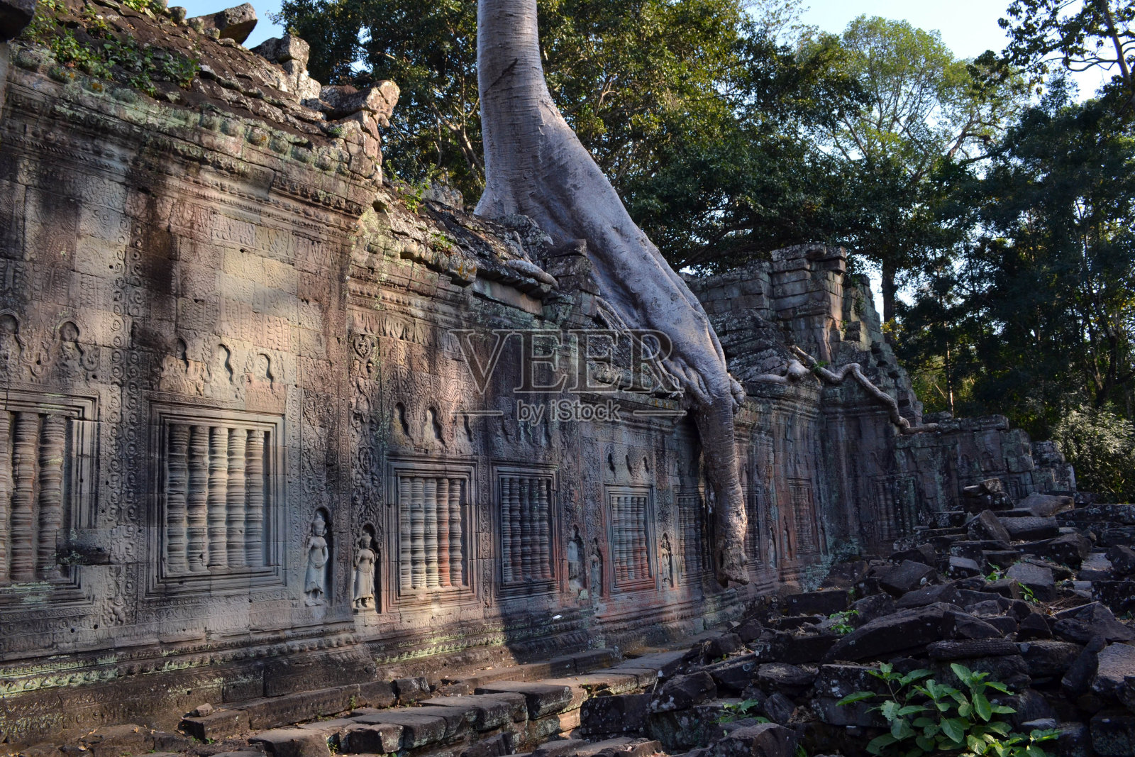 柬埔寨吴哥窟的庙宇废墟，树木和它的根附着在墙上照片摄影图片