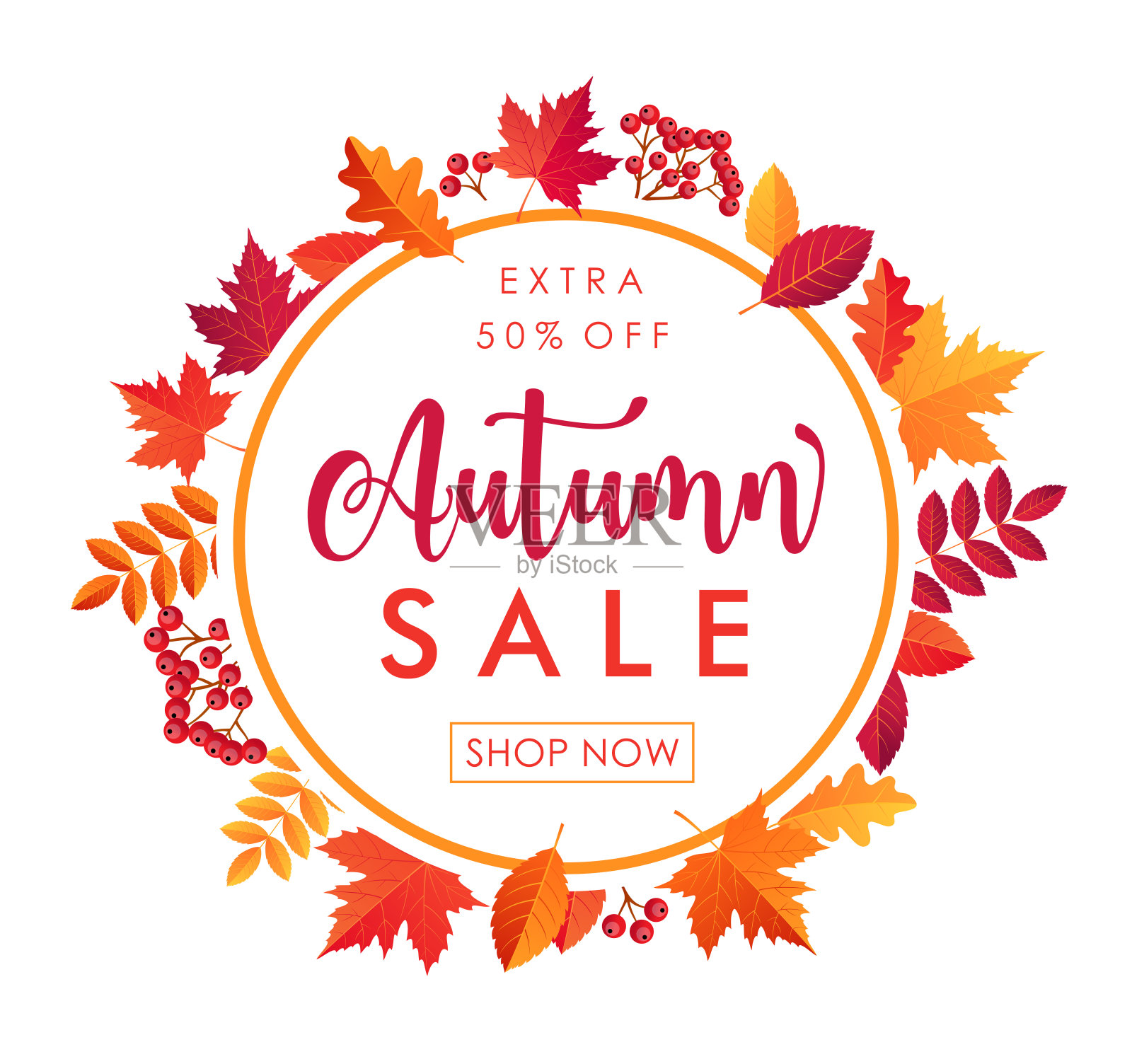 秋卖叶圆框。矢量图模板设计元素图片