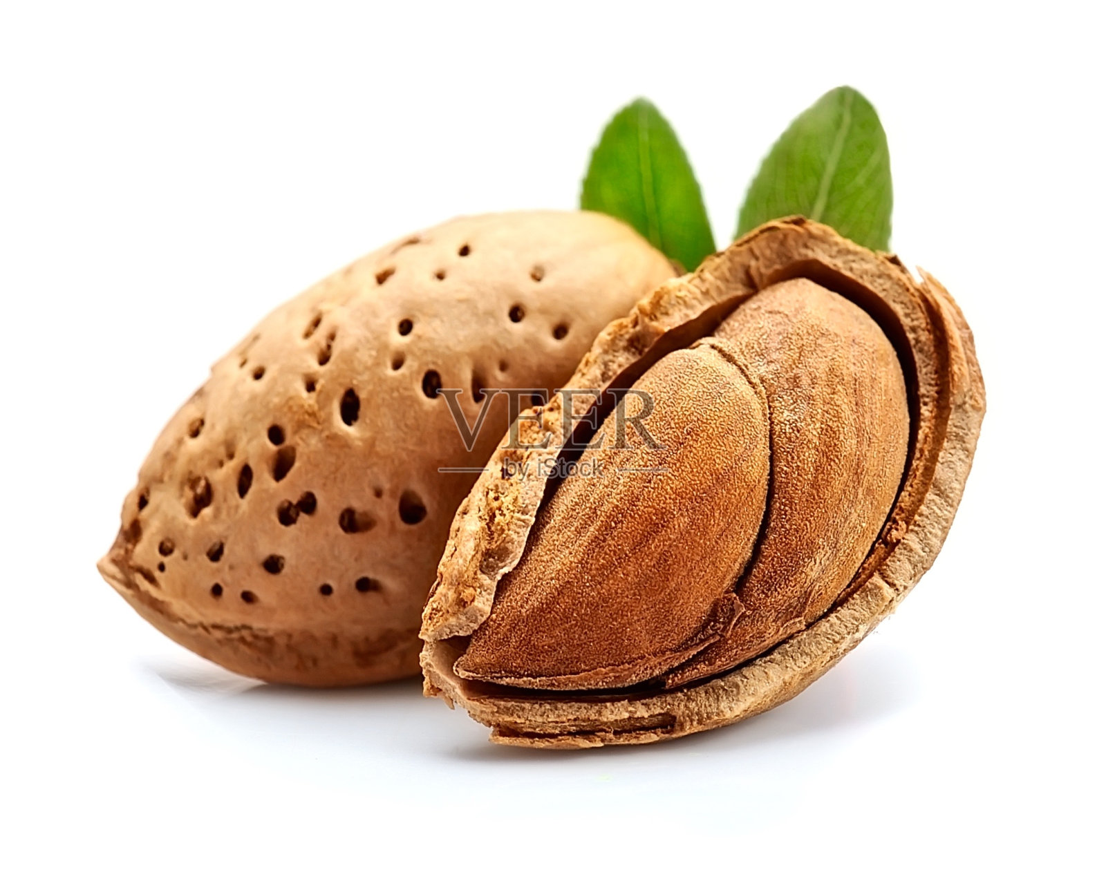 杏仁用树叶照片摄影图片