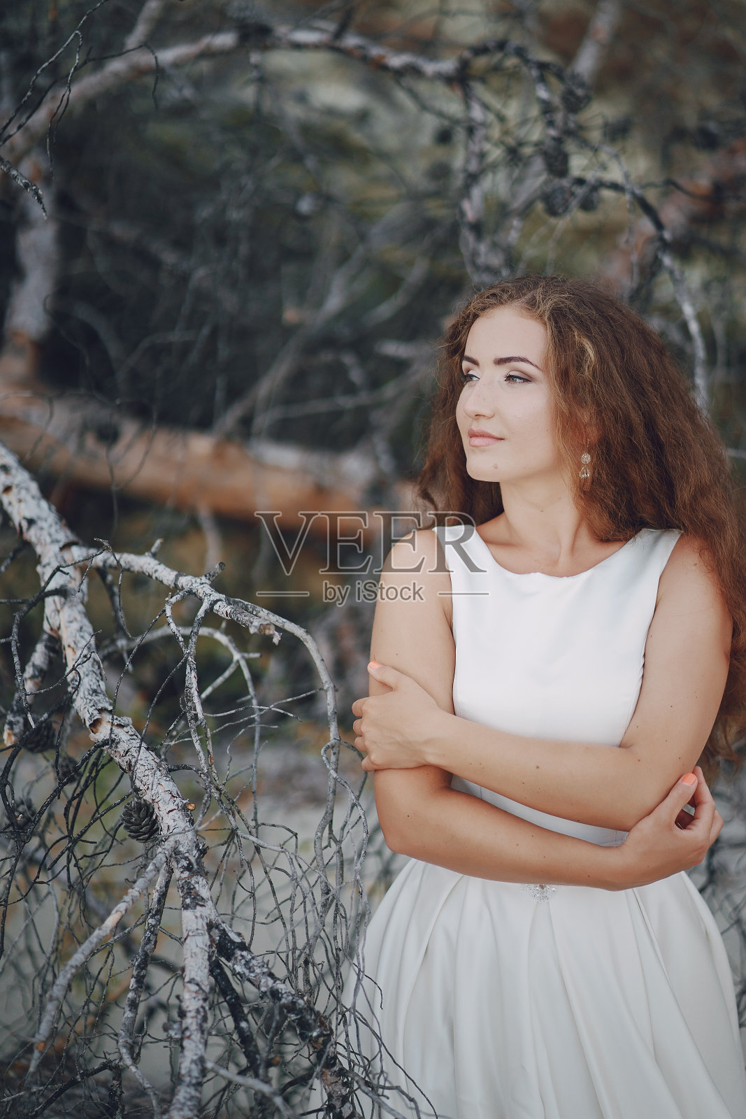 新娘在自然界中照片摄影图片