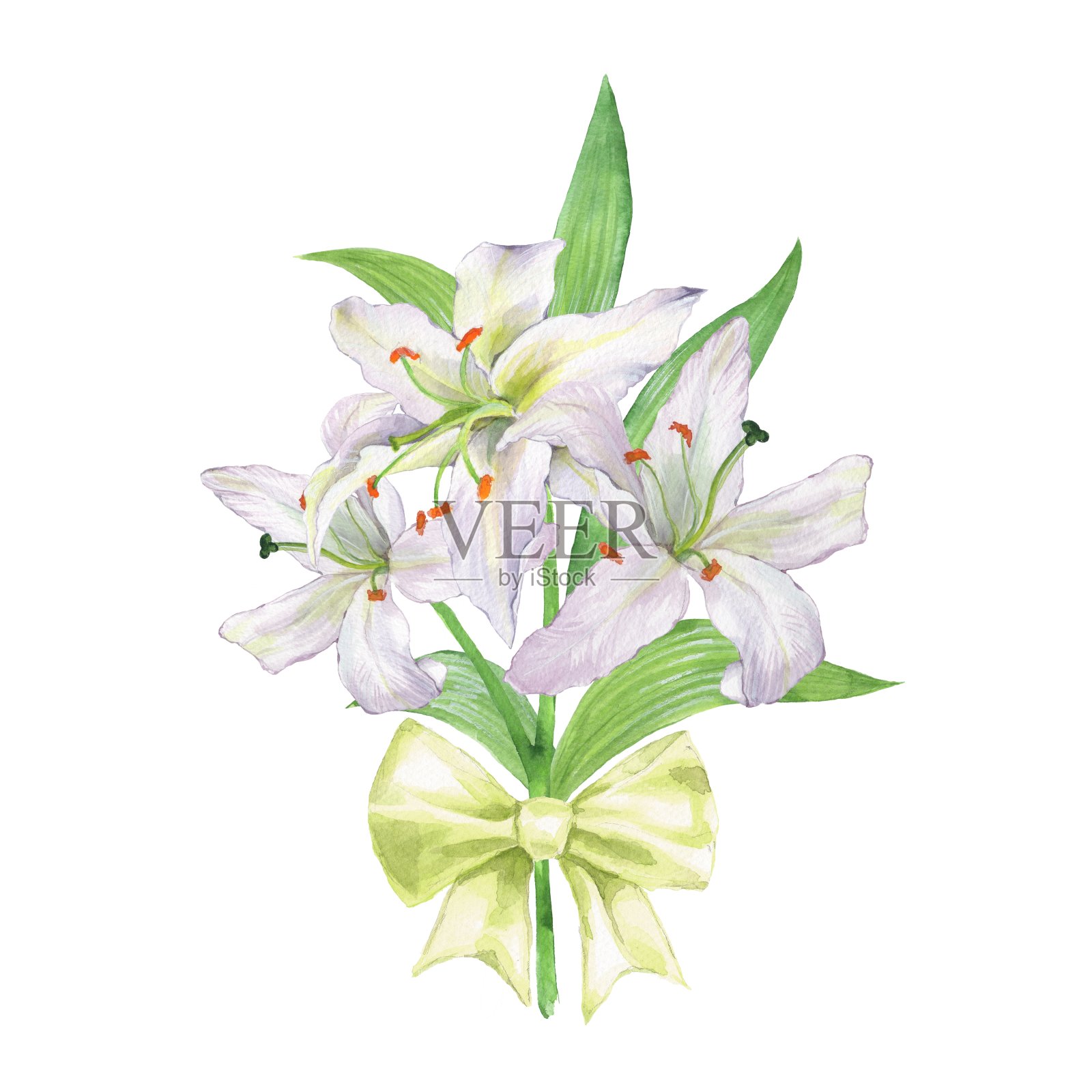 水彩百合花束2插画图片素材