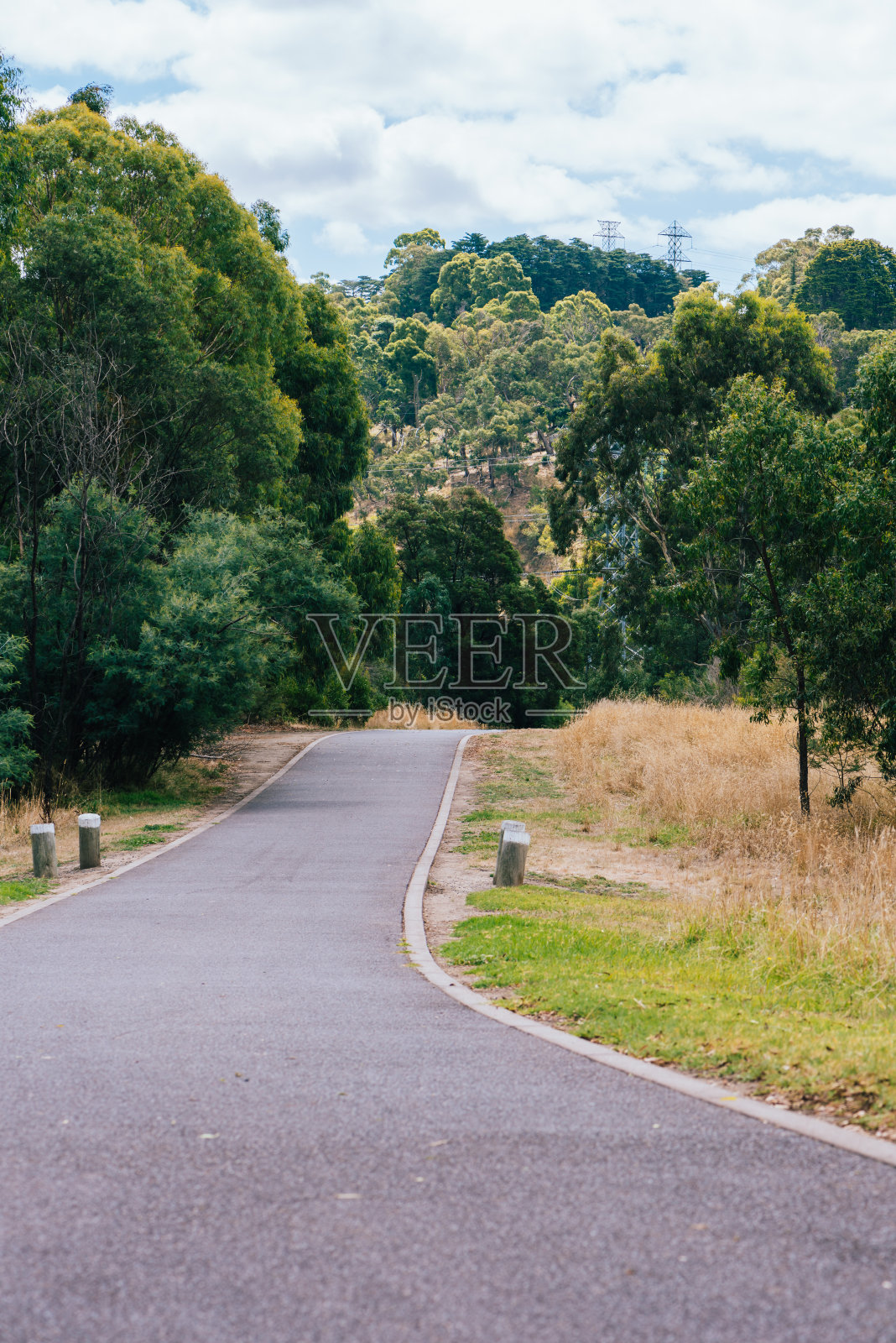 穿过公园郁郁葱葱的树木的一条小径。照片摄影图片