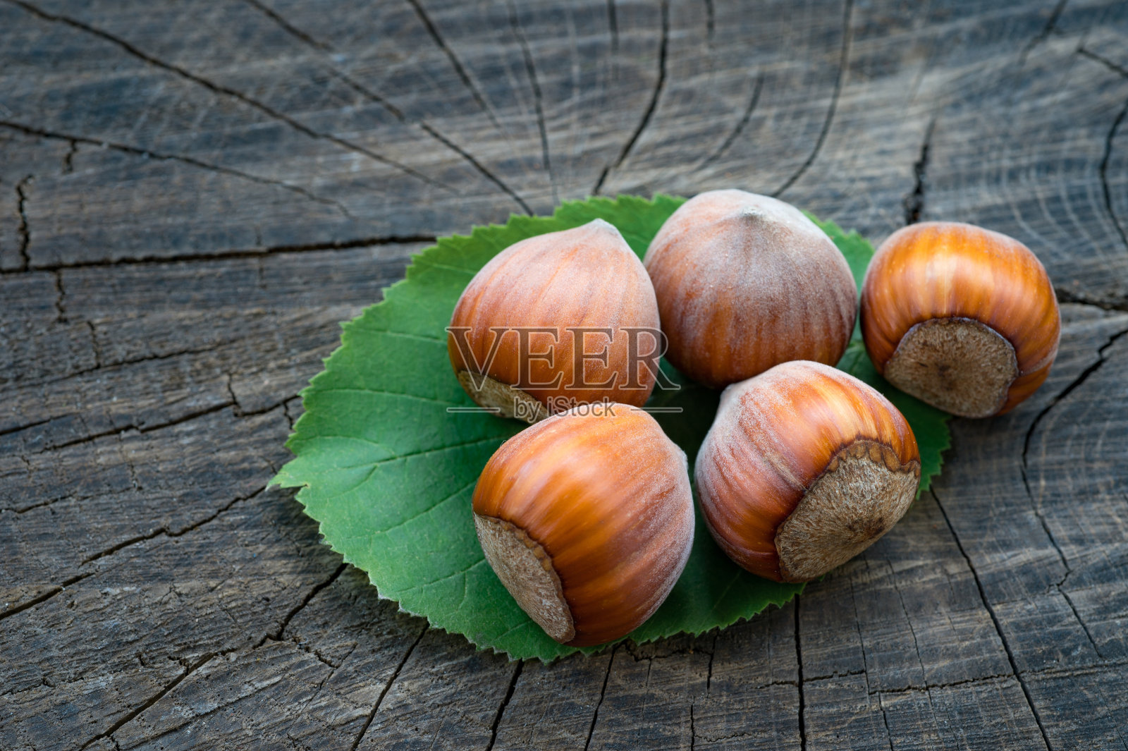 木制背景上是成熟的棕色榛子，特写照片摄影图片