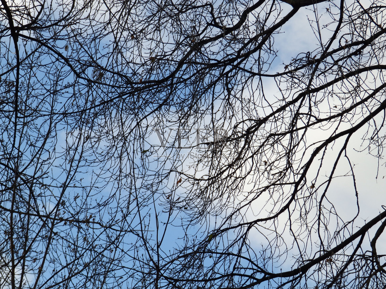 黑色和蓝色照片摄影图片