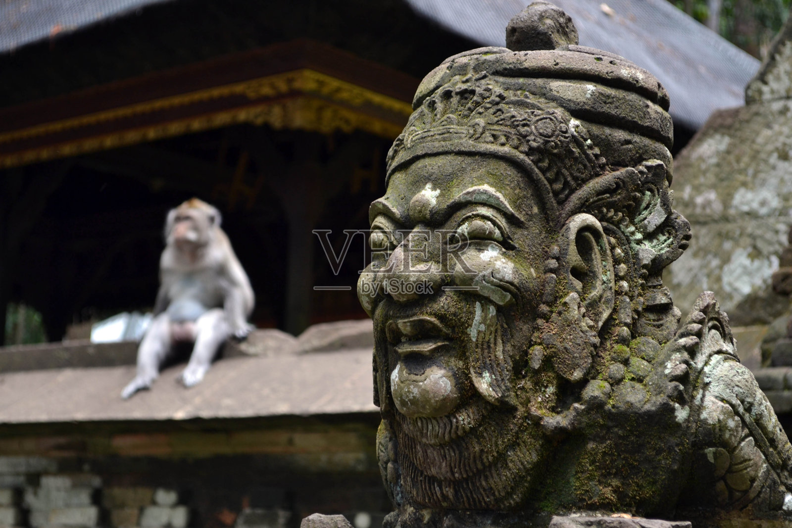 猴庙在Sangeh，岛上的巴厘岛-印度尼西亚照片摄影图片