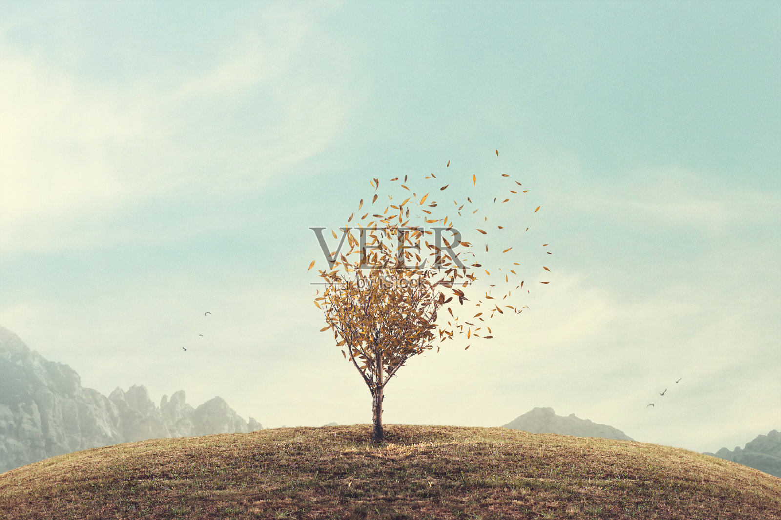 超现实的秋叶照片摄影图片