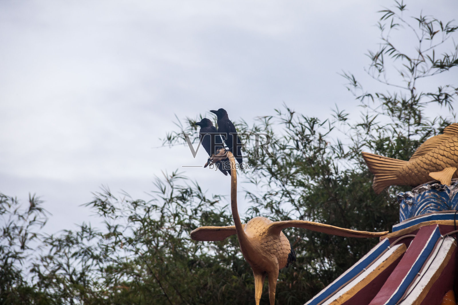 中国寺庙屋顶上的真鸟照片摄影图片