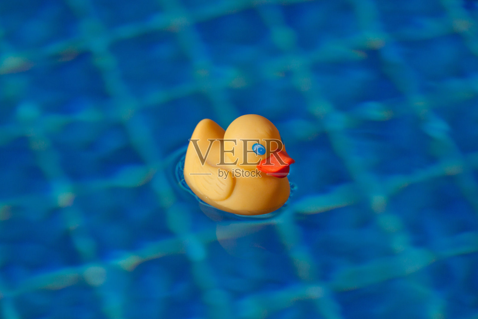 蓝色游泳池照片摄影图片