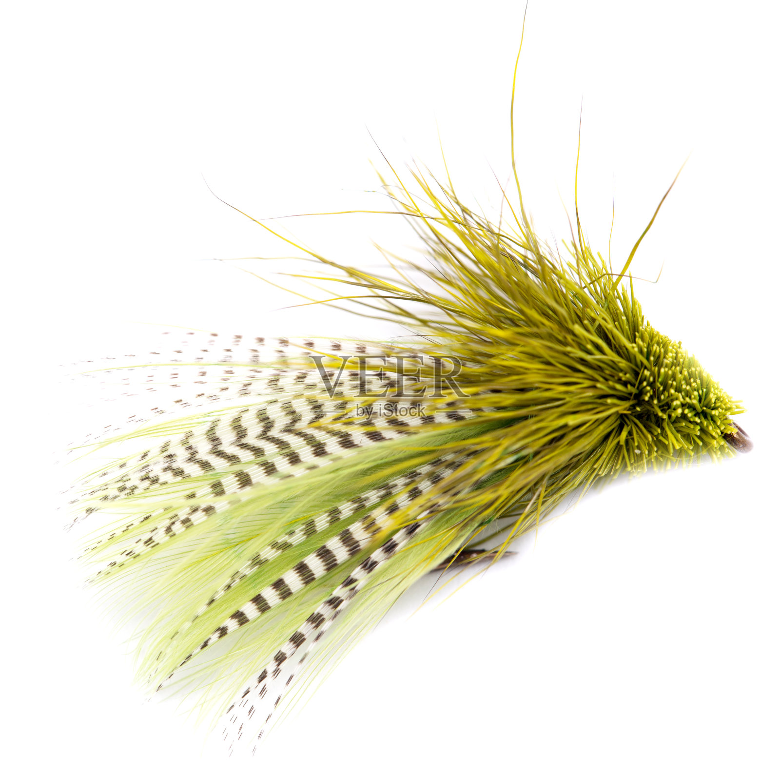 白色背景上美丽的羽毛。特写镜头照片摄影图片