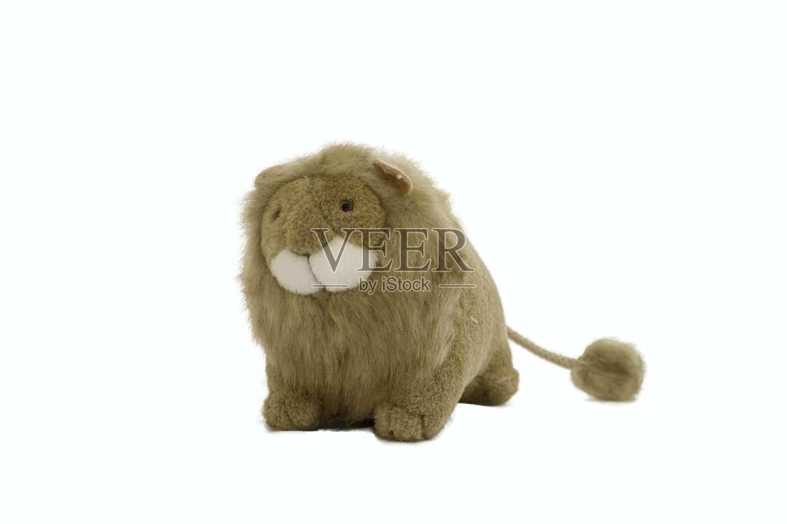 毛绒动物狮子孤立在白色的背景。照片摄影图片