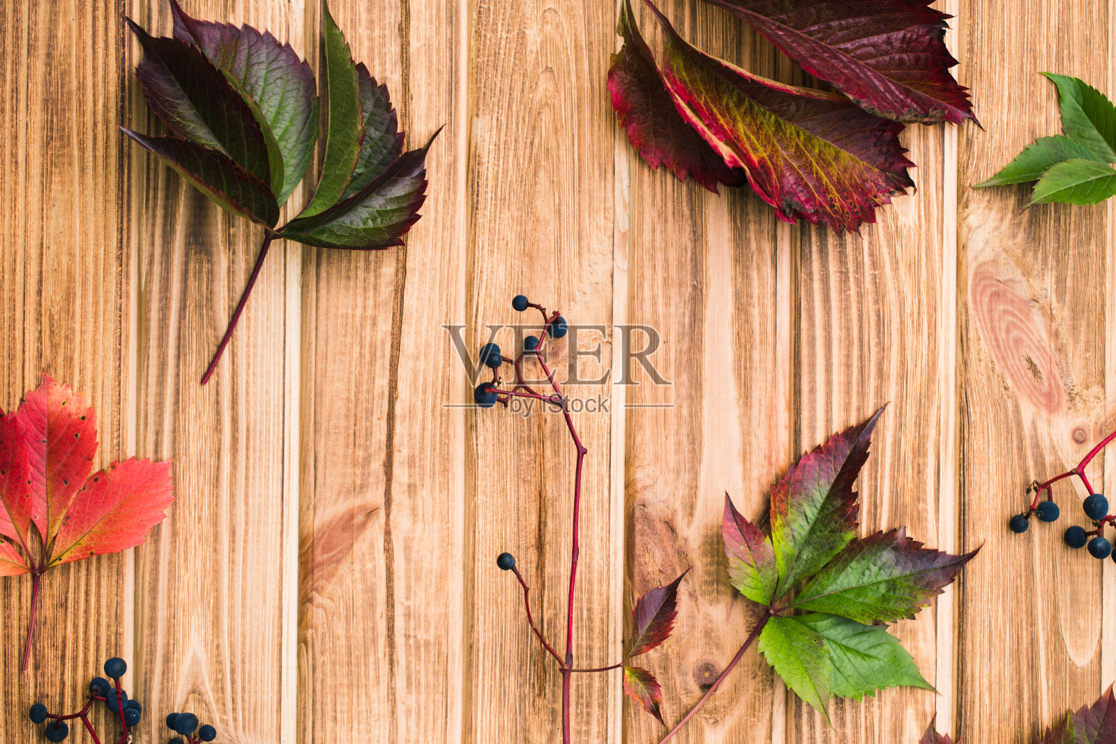 秋天的背景和野葡萄在木桌上照片摄影图片