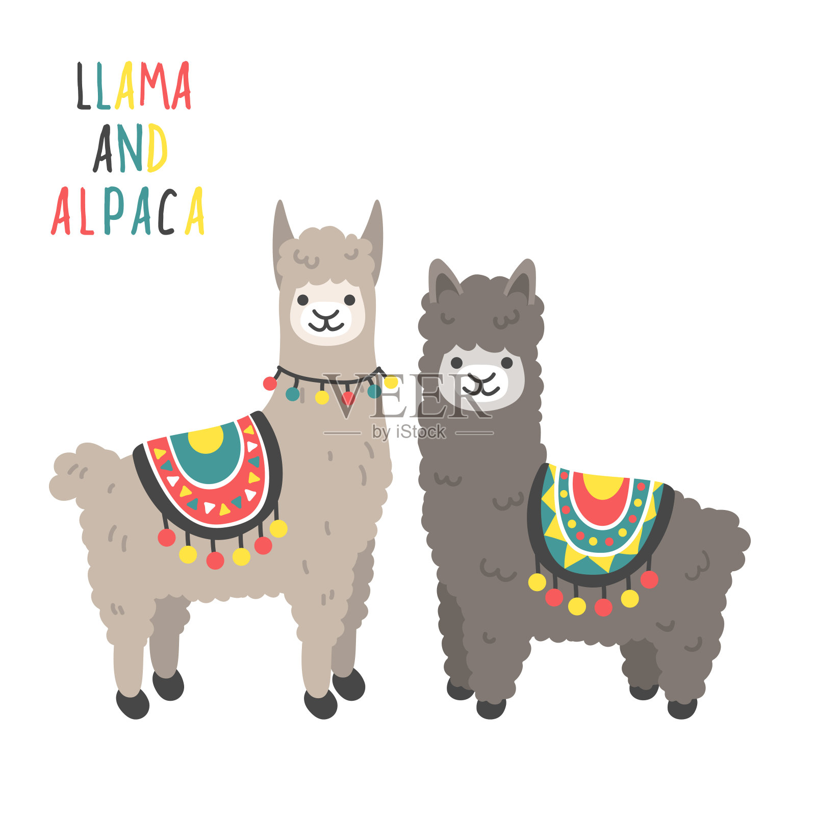 可爱的羊驼和羊驼套装插画图片素材